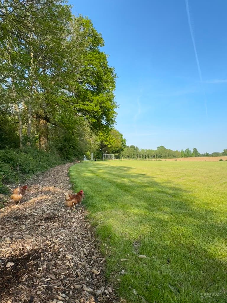  Beautiful 1 Acre Filed 
