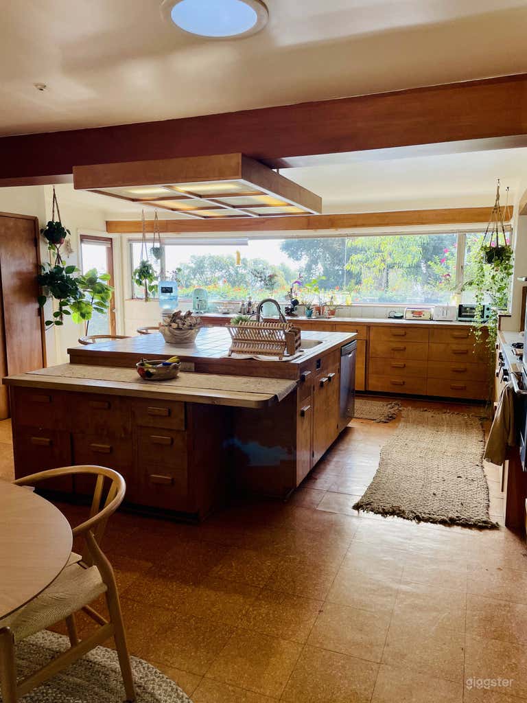  Sun Drenched, Mid Century Modern Plant Haven 