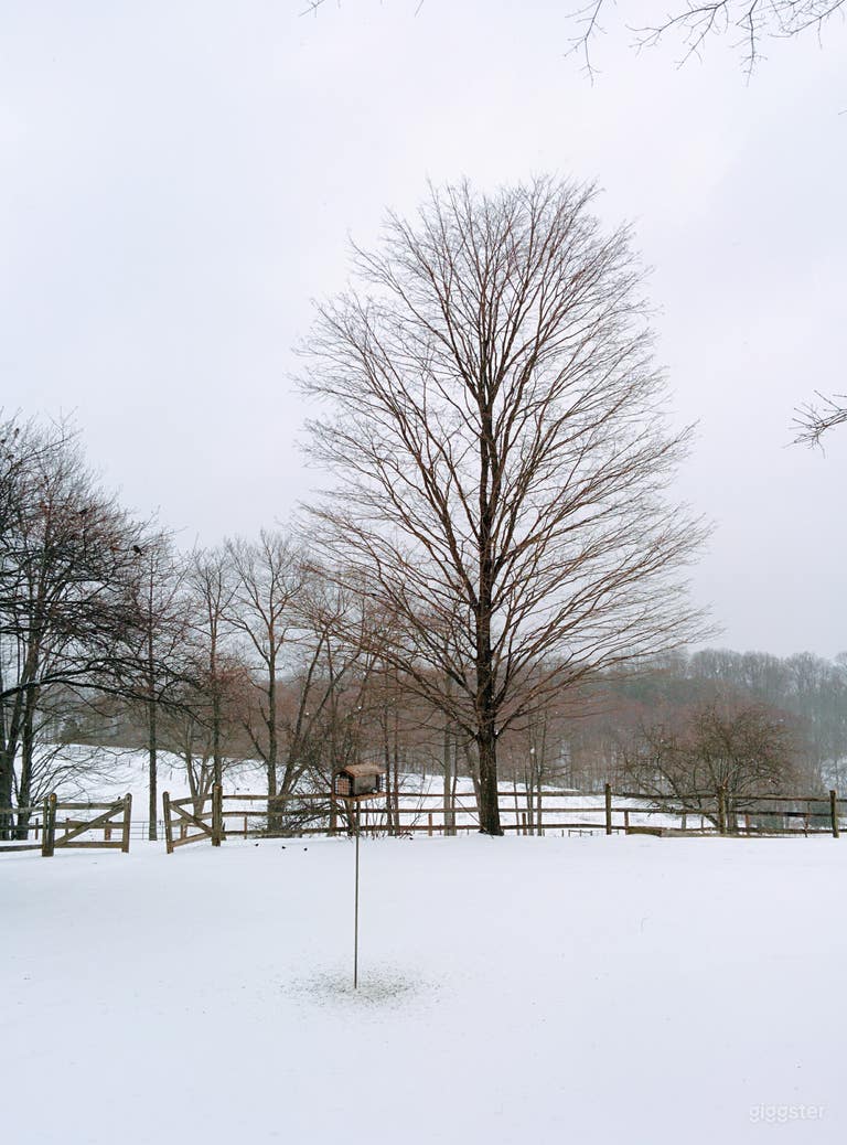  Back yard view onto hay fields in winter  