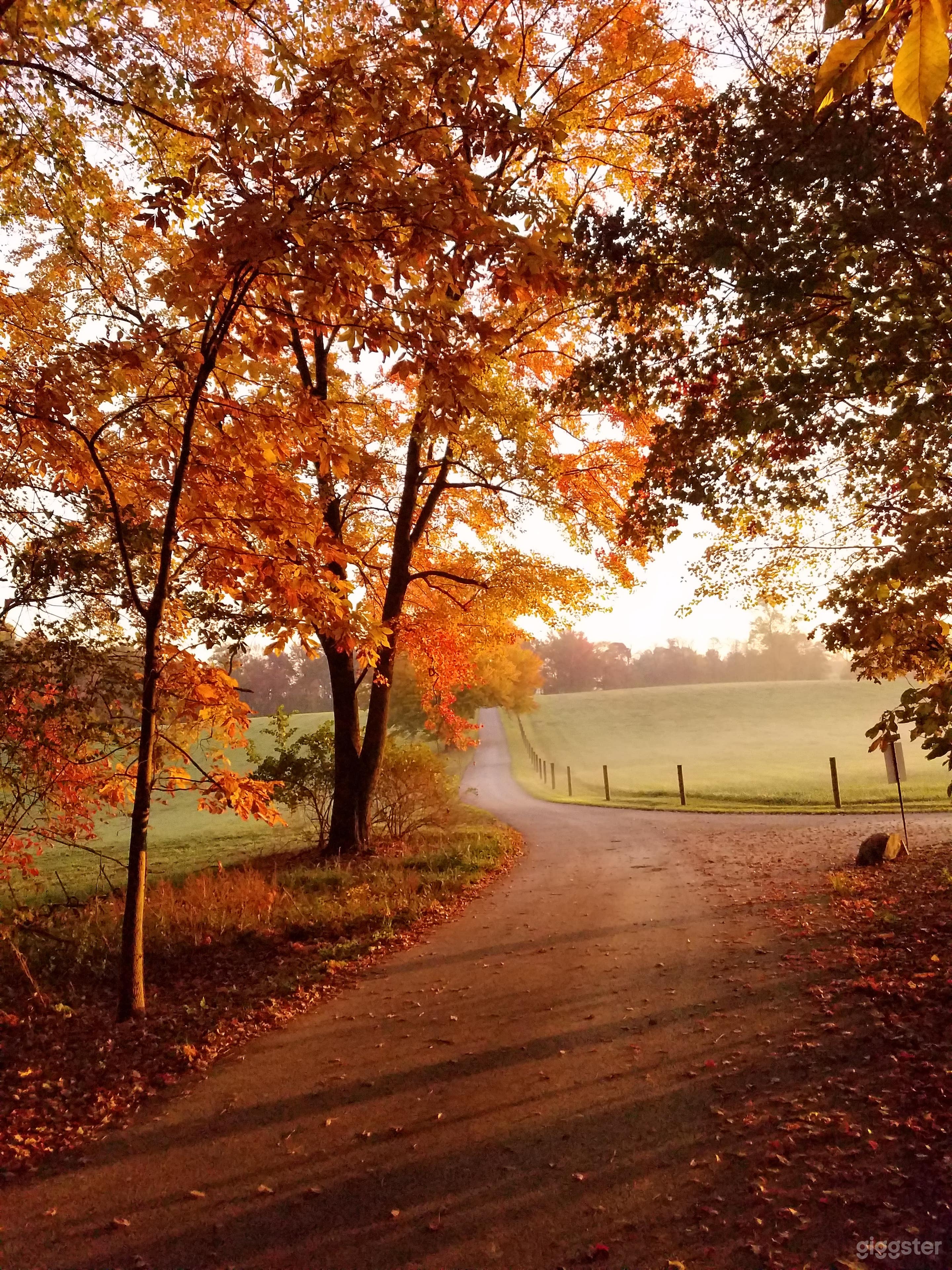 Entrance drive looking to road in fall. 