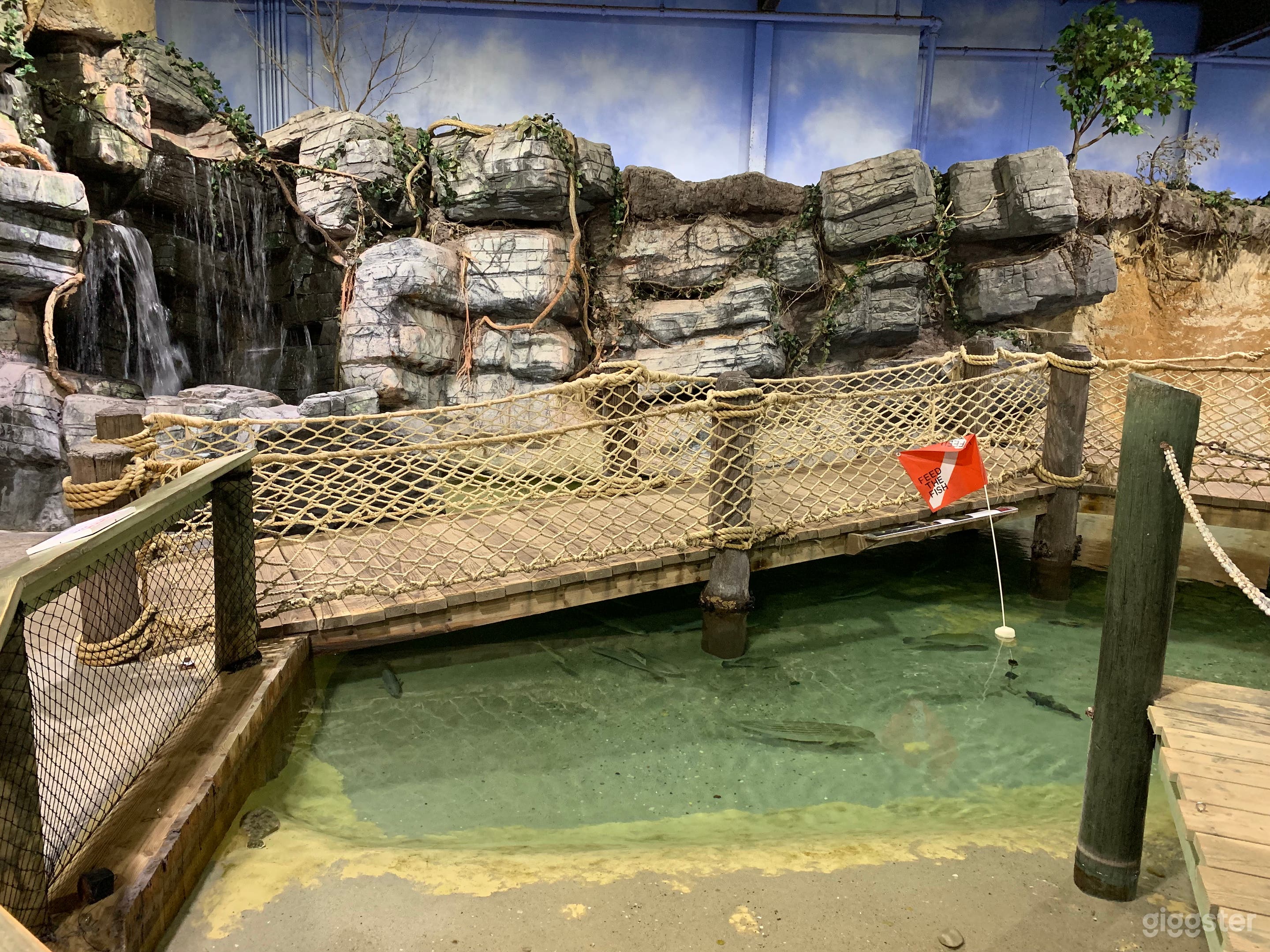 Shark Room - Aquarium in Riverhead, NY Photo 2