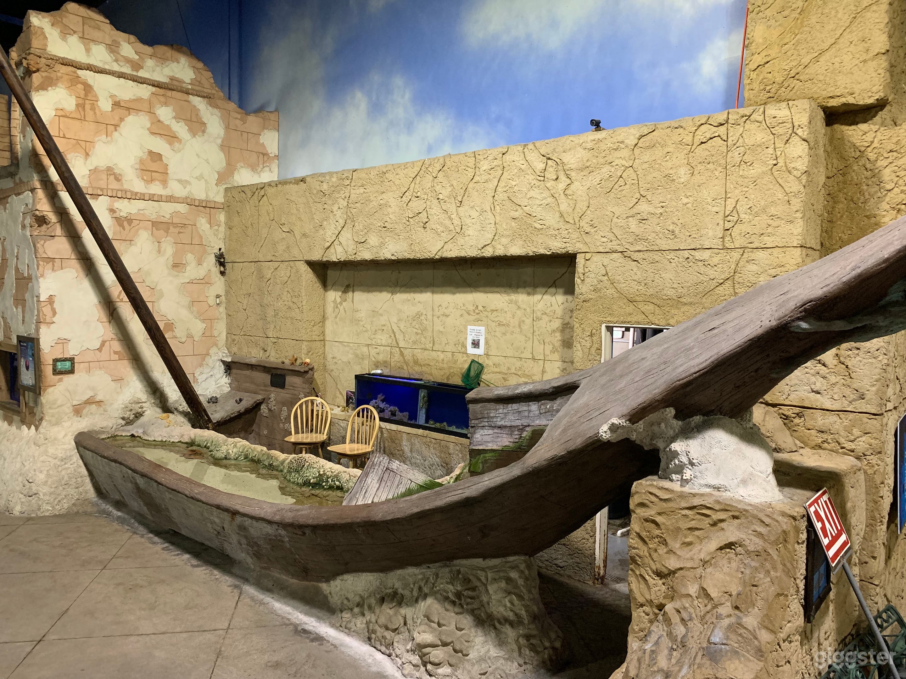 Shark Room - Aquarium in Riverhead, NY Photo 3