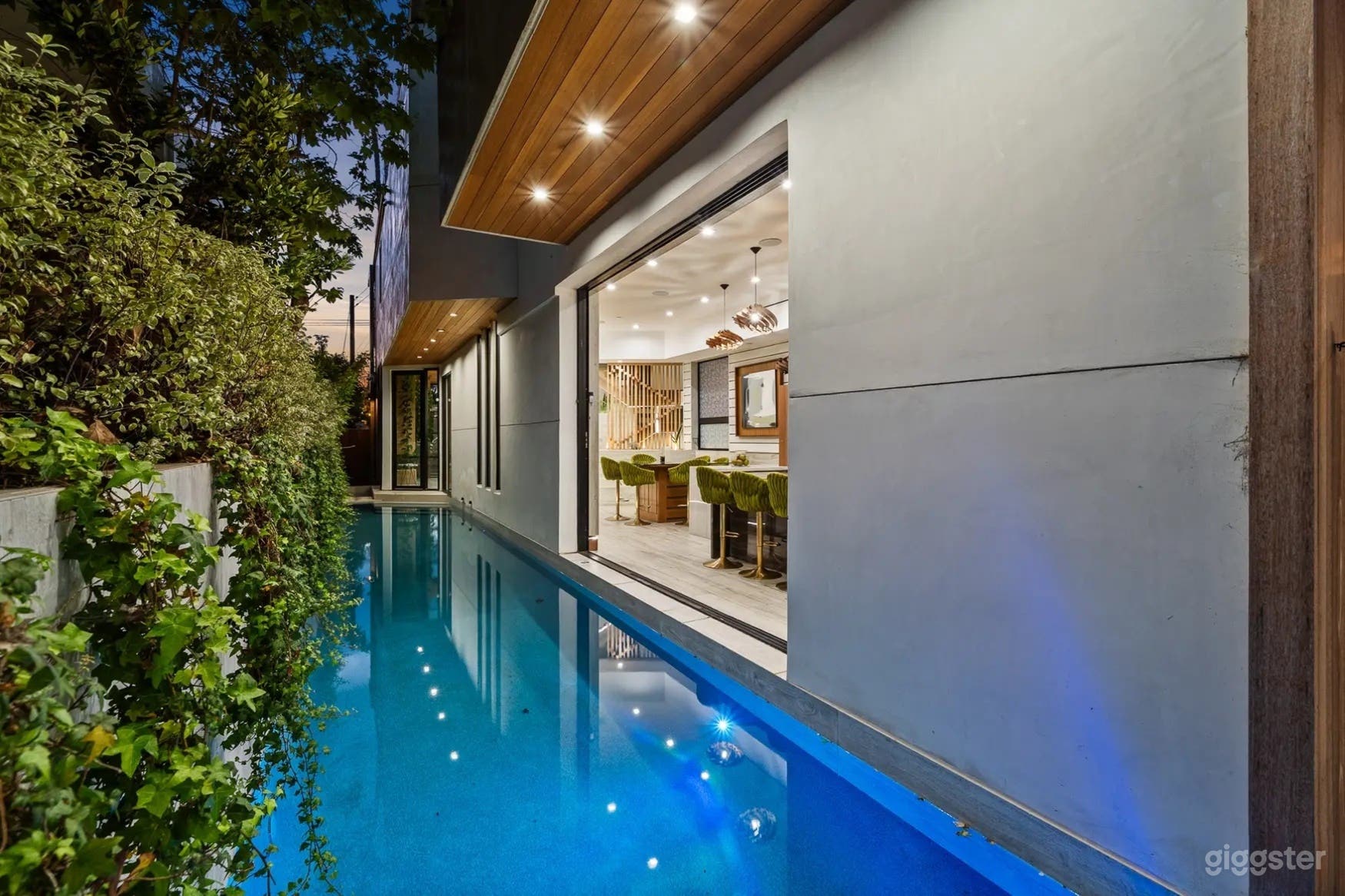 SUNLIT VENICE SLEEK POOL Photo 3