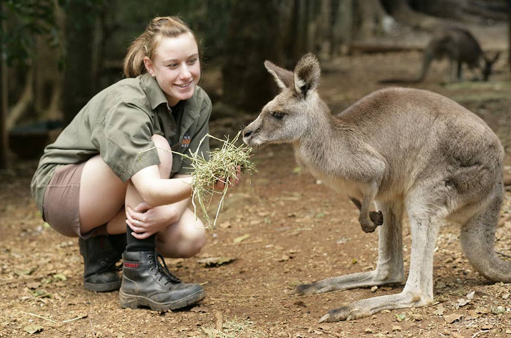 Wildlife Animal Sanctuary Photo 3