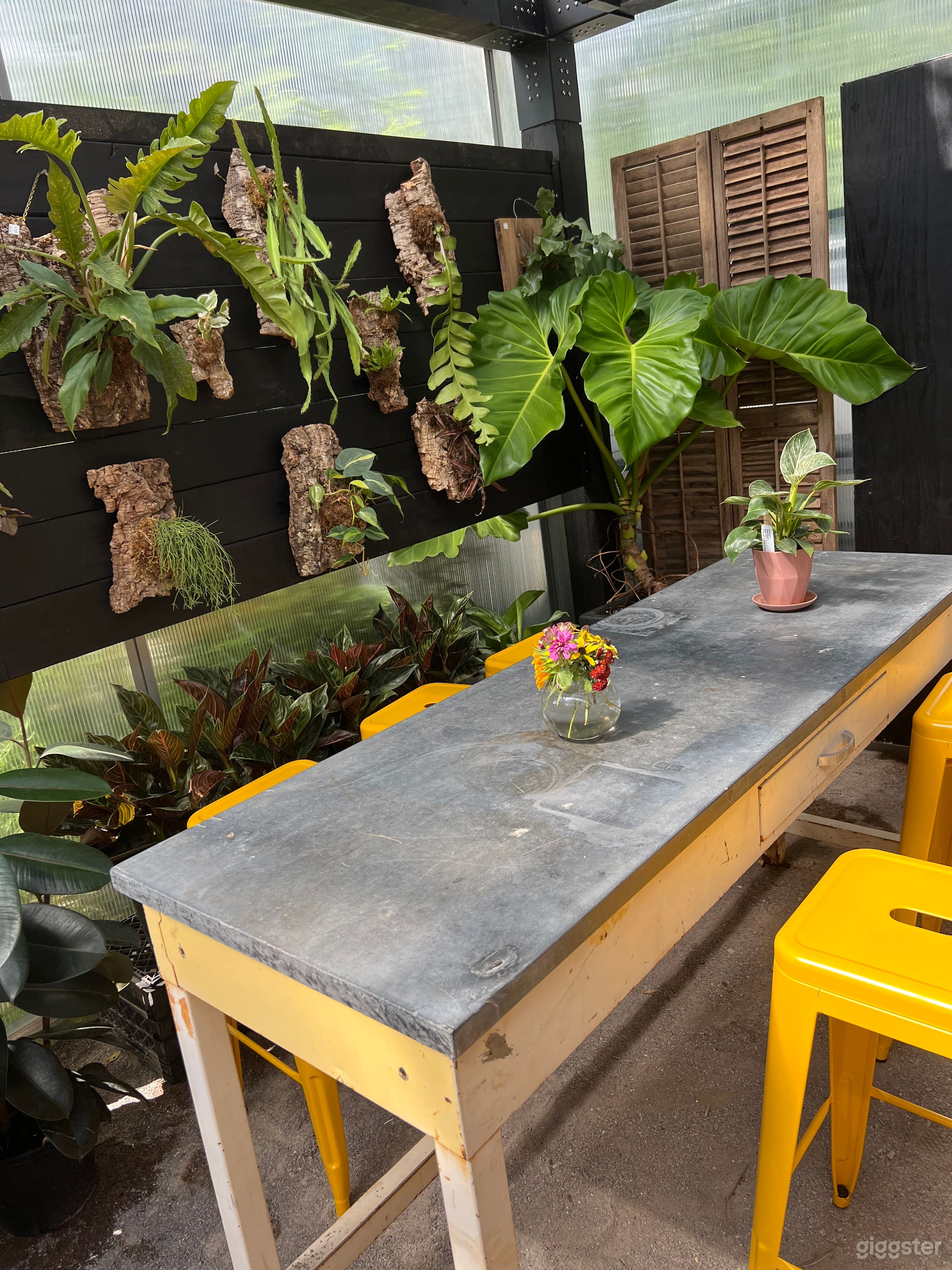 Coffee Shop With Attractive Garden Set Up (Full Buy Out) Photo 4