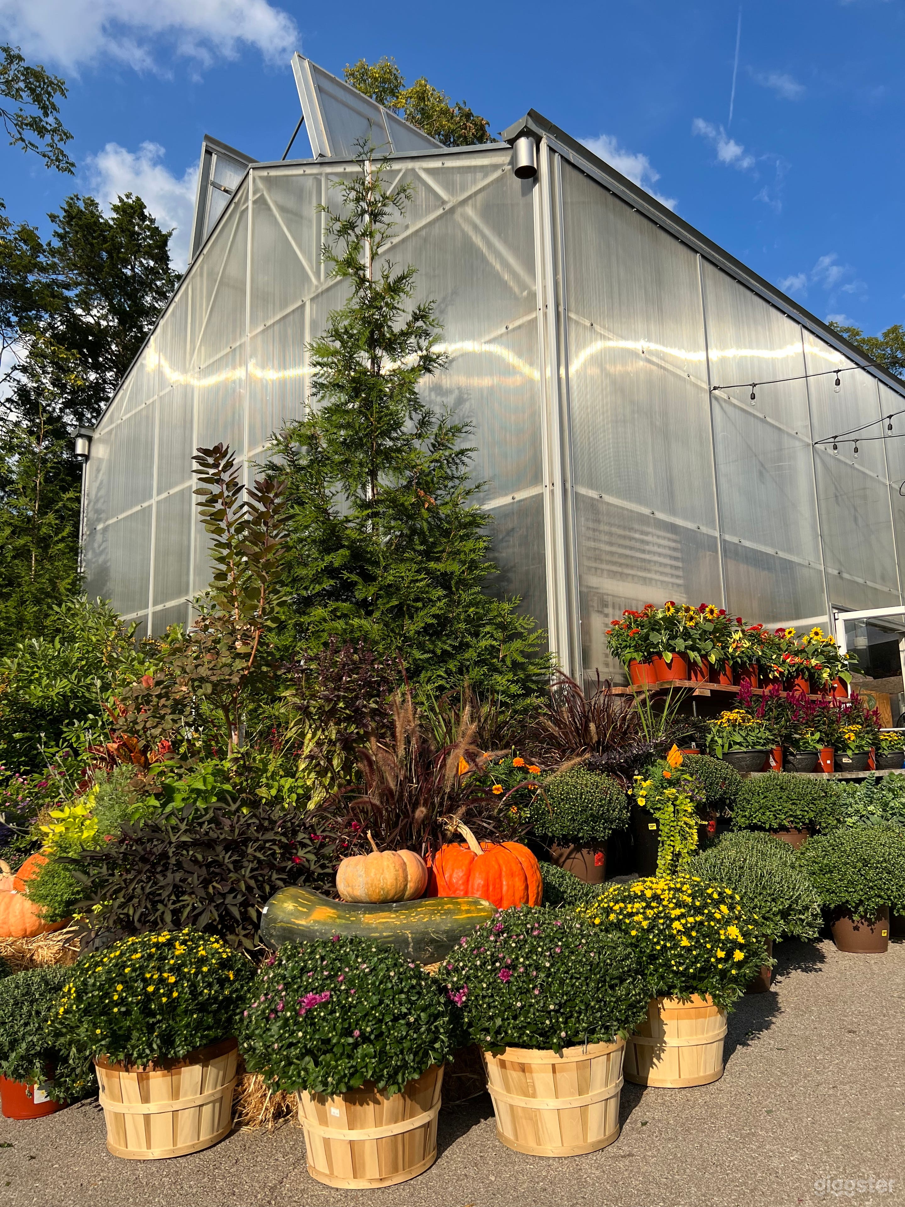 Coffee Shop With Attractive Garden Set Up (Full Buy Out) Photo 1