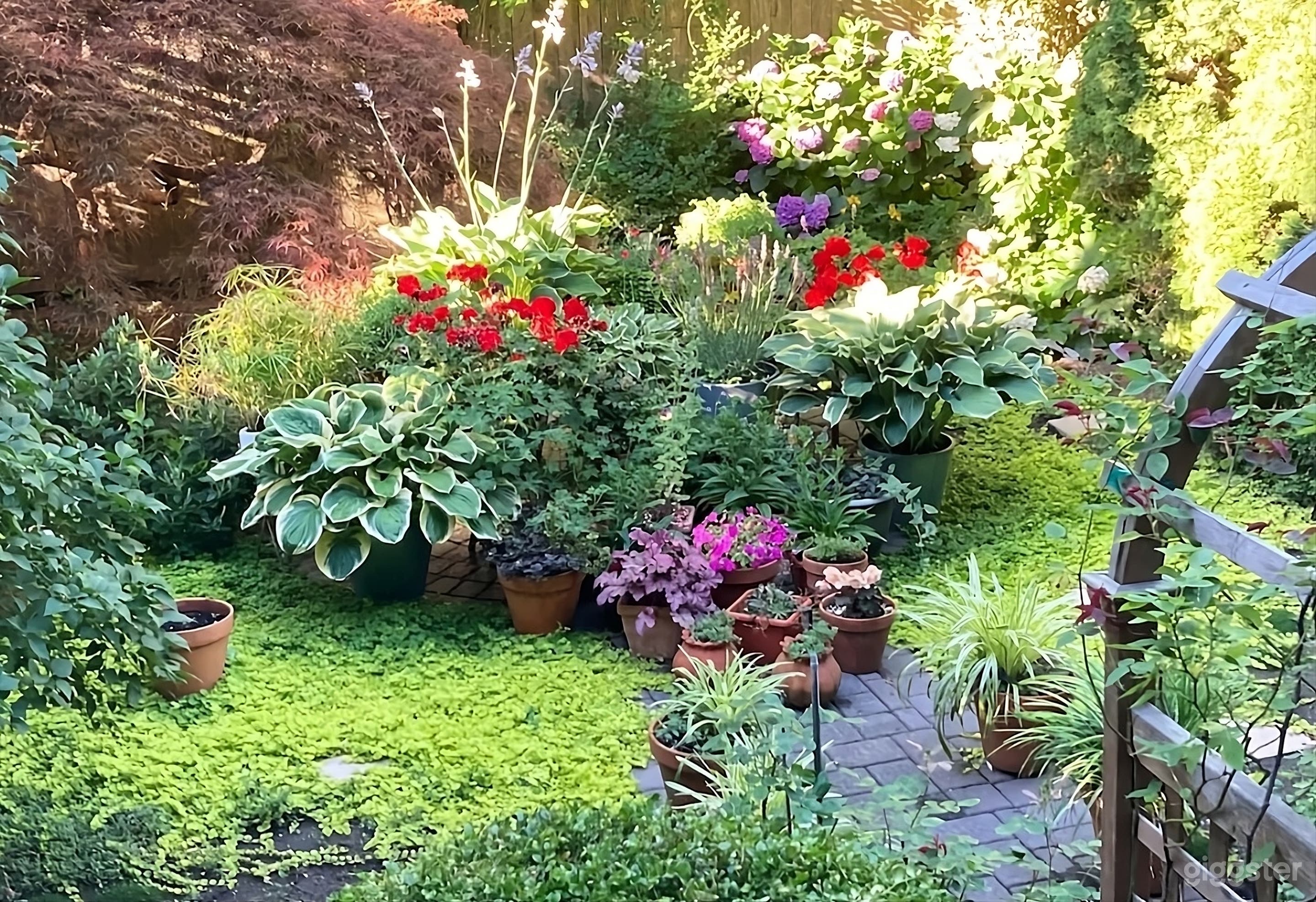 Backyard with specimen plantings and beautiful potted flowering plants