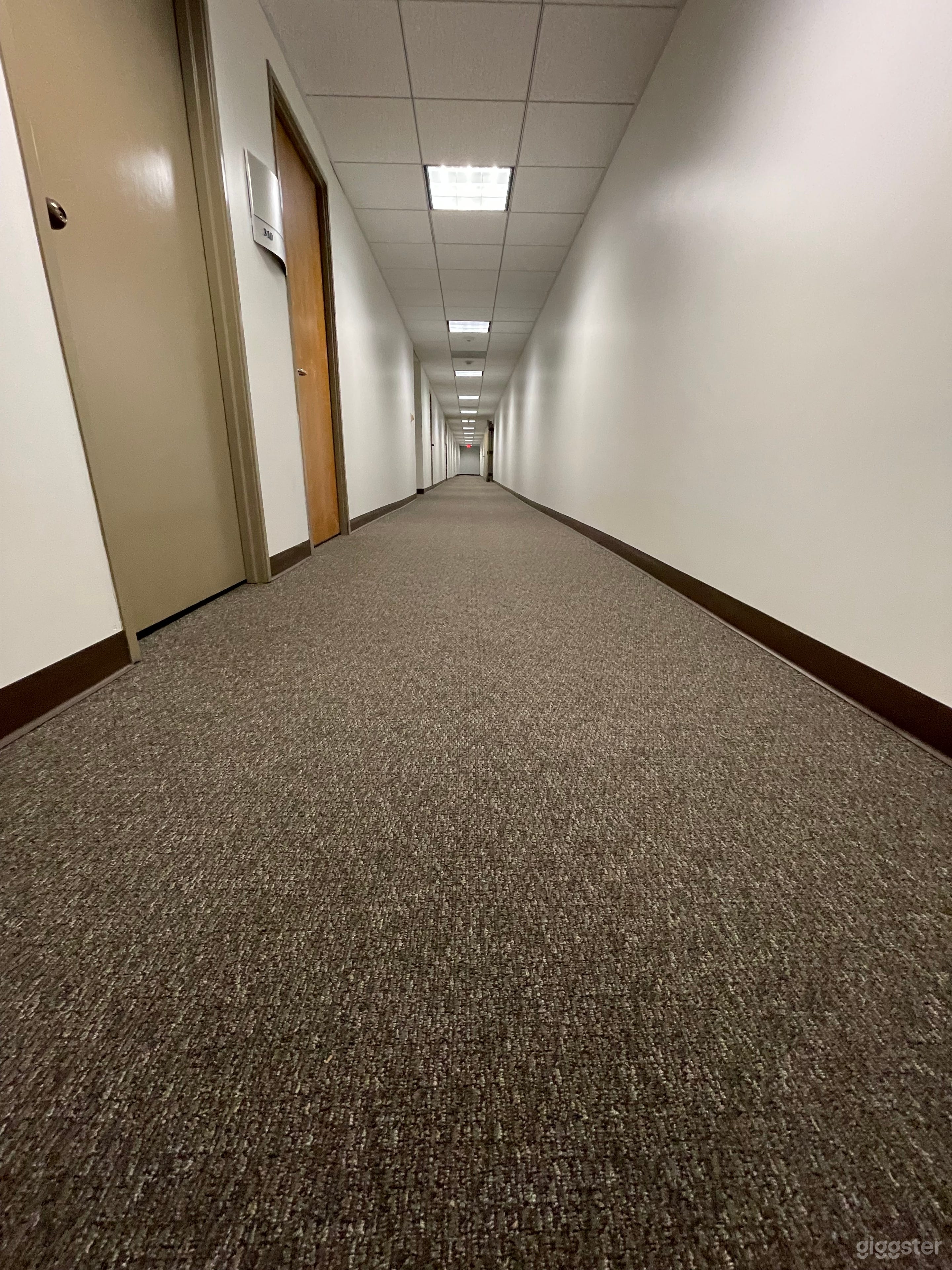 PURGATORY / Hallways &amp; Stairs (LAX) Photo 4