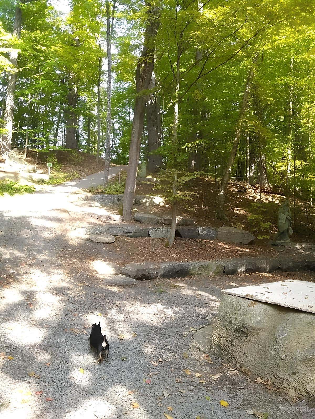 CHRISTIAN SERVICE AREA Photo 4