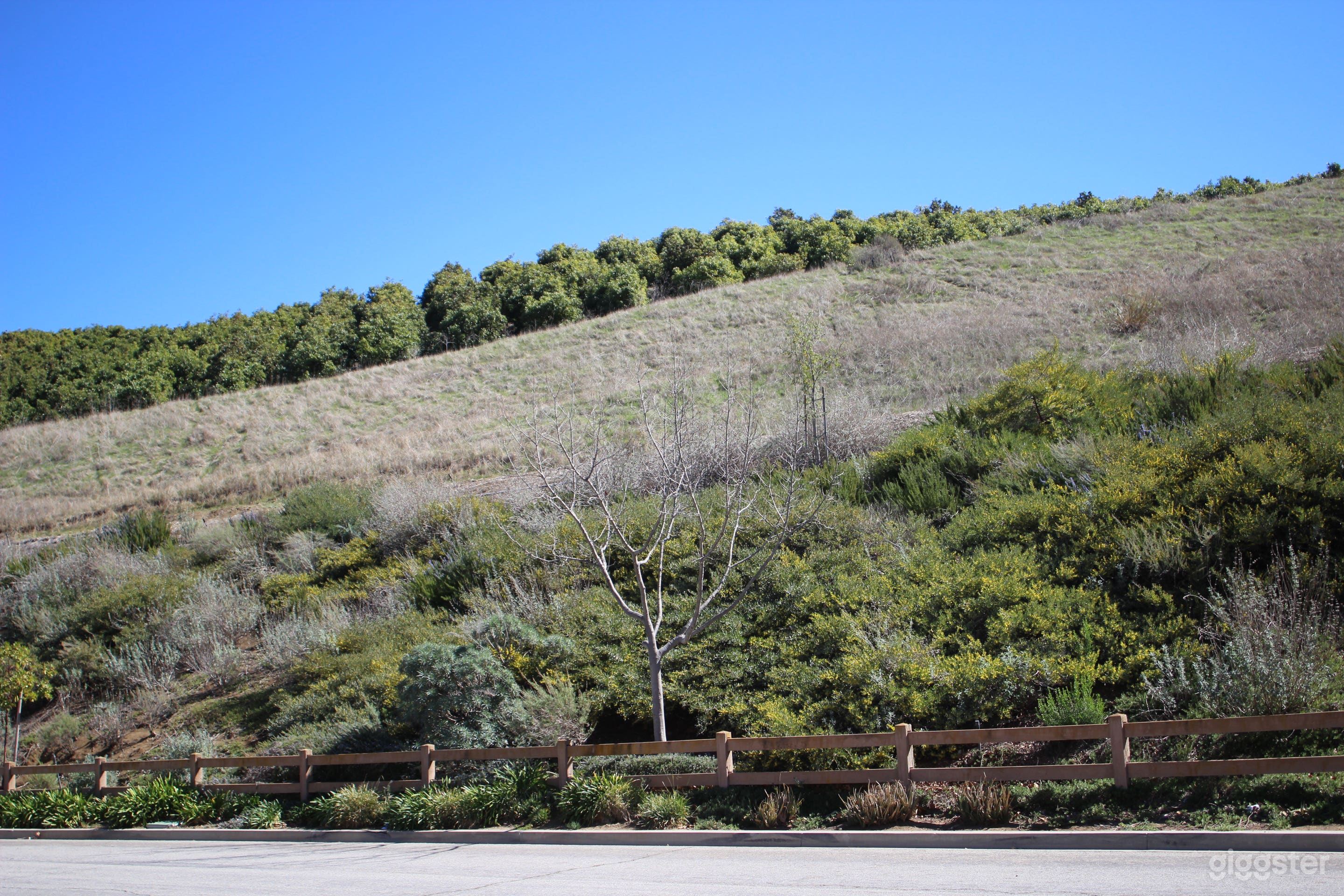 View From Front of House