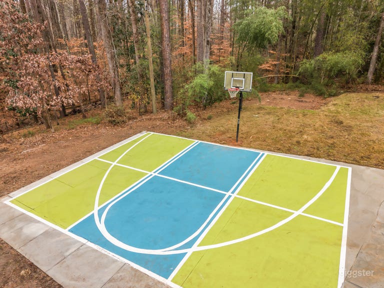  Luxury 2 acres Estate Pool, Sauna, BasketBall/Pickleball,Gym 