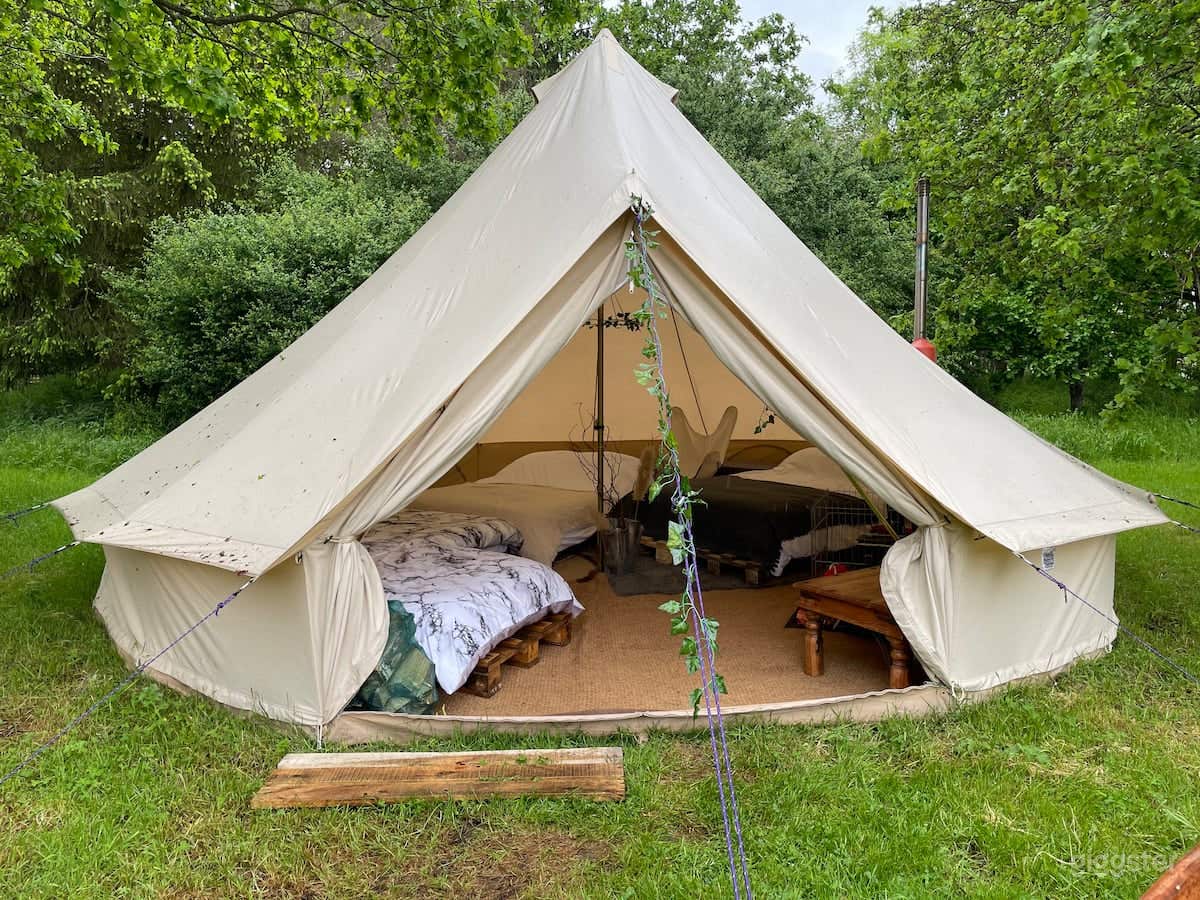 100 acre Woodland and grassland. Close to London Photo 2