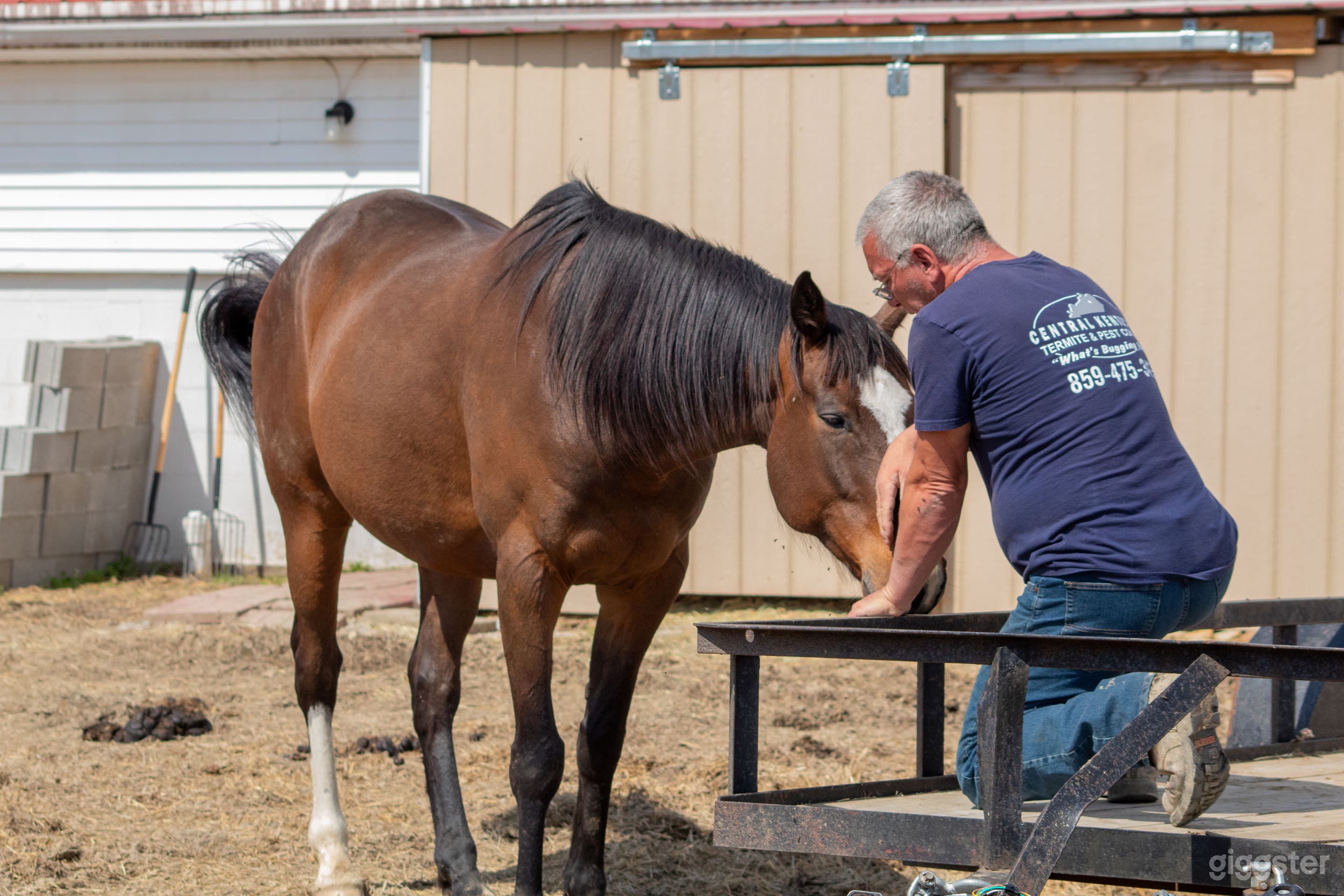Charming Horse Farm with Barn, Stables & Inn Photo 4