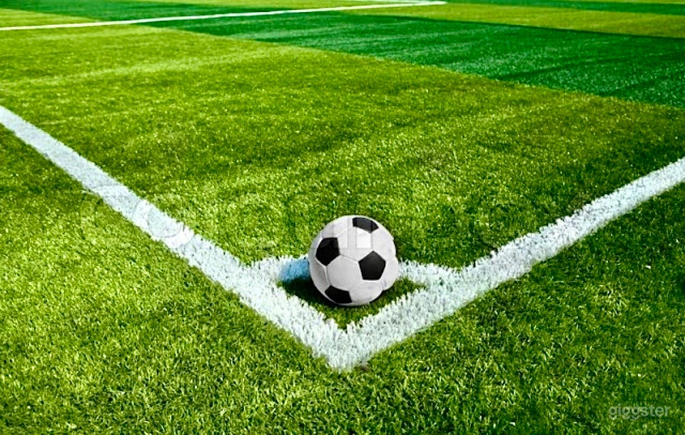 Private Outdoor Turf Arena & Soccer Event Complex Photo 3