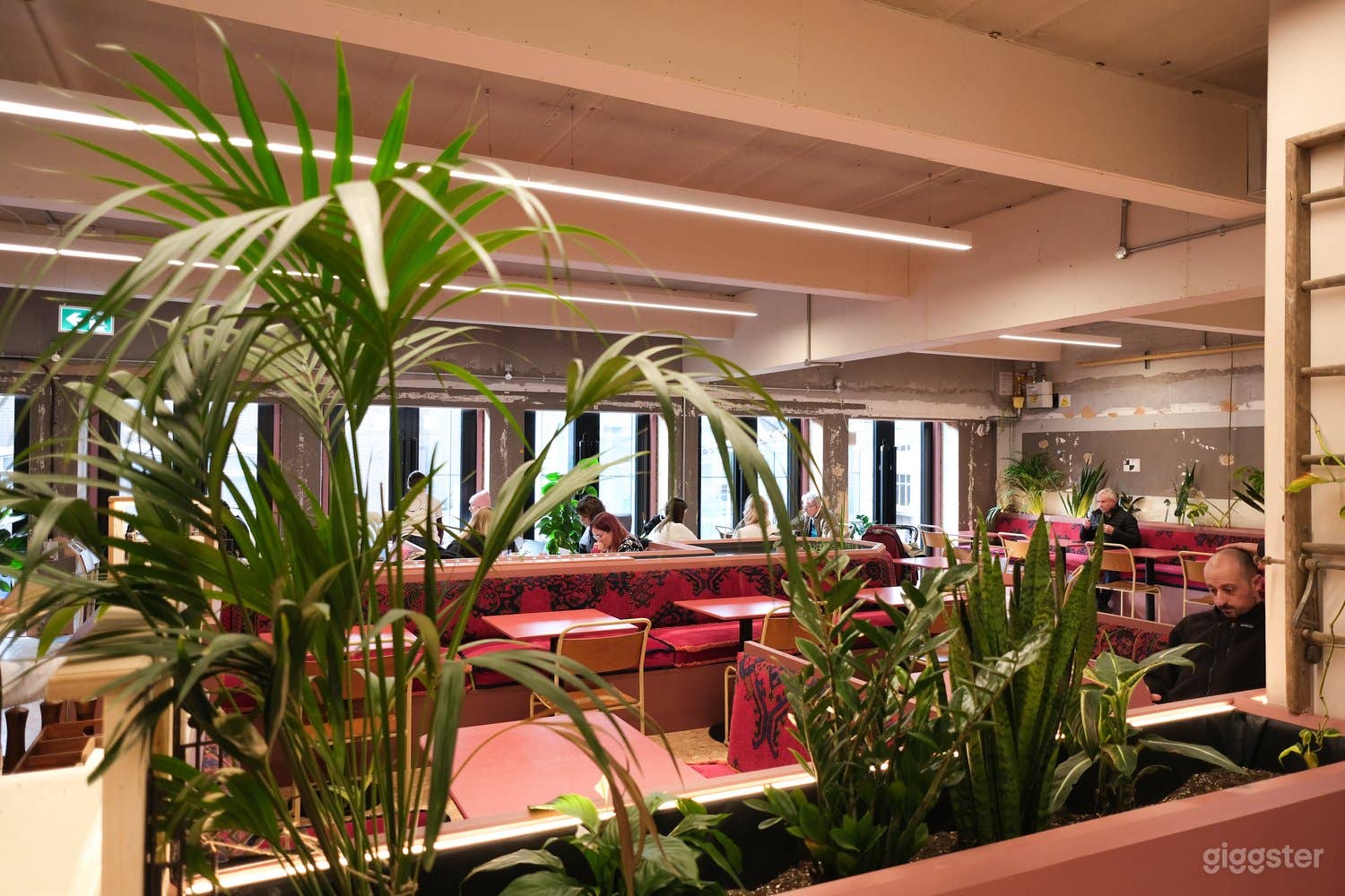 Restaurant and Cafe Space in Sutton  Photo 4