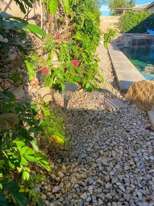 Mid-Century Modern Pool Oasis Photo 3