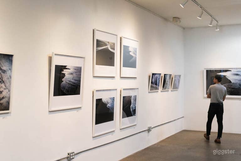  Venice Gallery With Exposed Concrete 