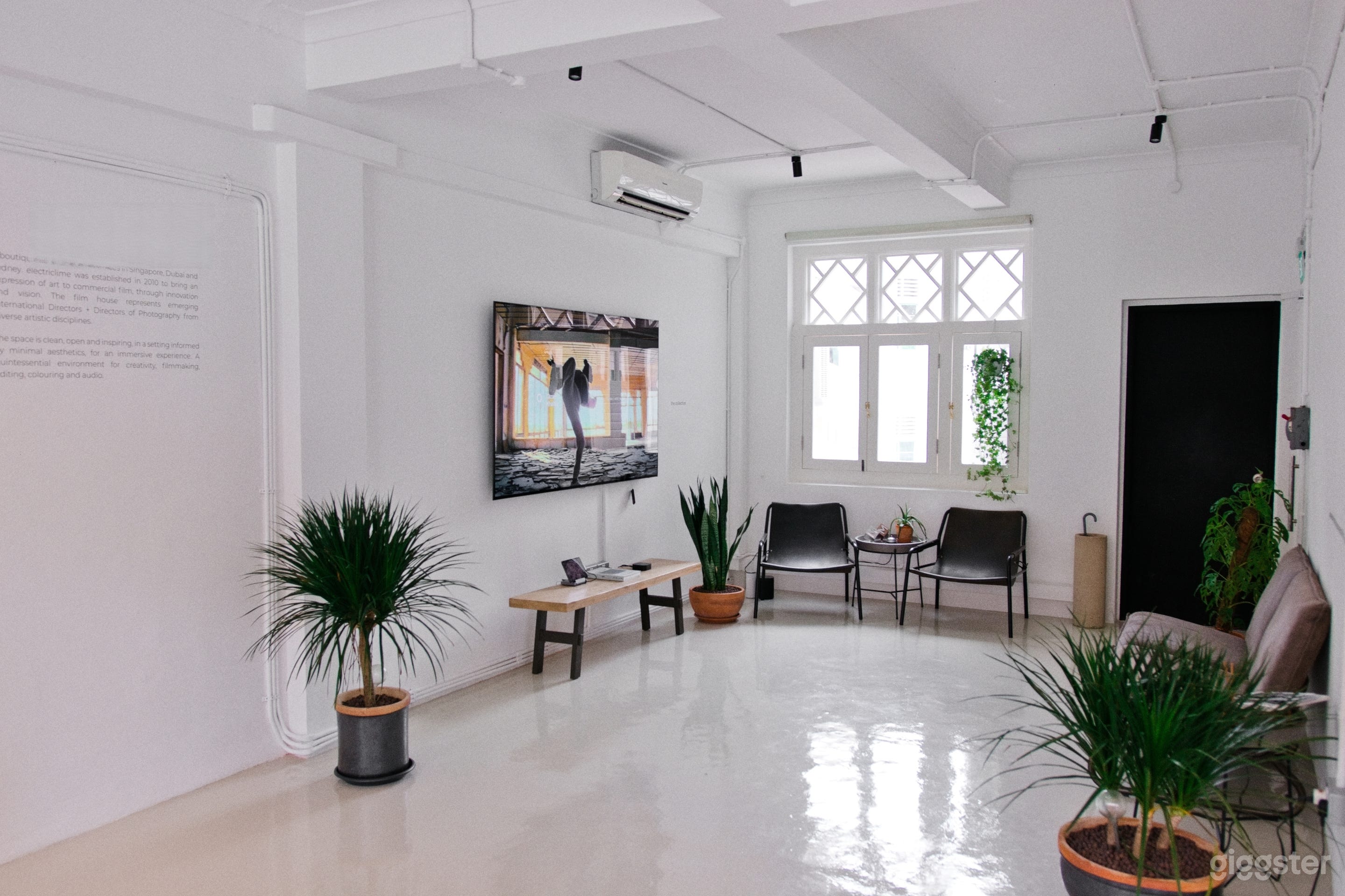 Bright and Versatile Film Studio Photo 1