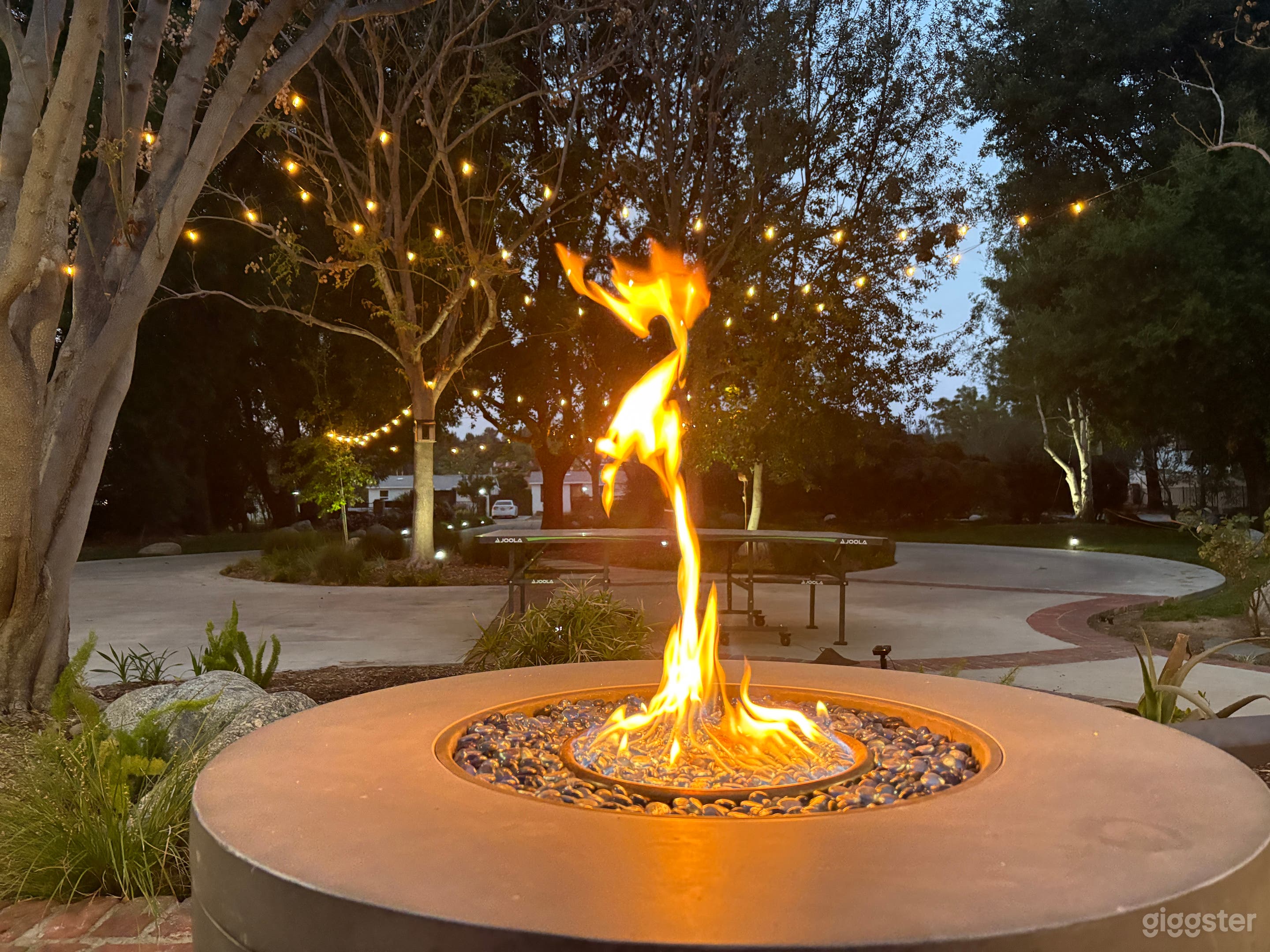 Unique 1 acre property in Placerita Canyon Photo 1