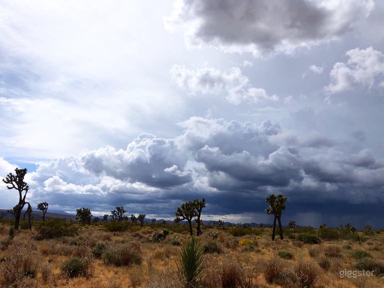  10 Acre Ranch Joshua Tree Designer Home Lush Land 