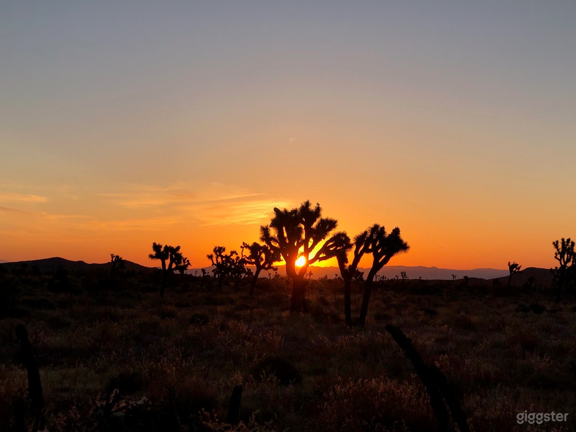 10 Acre Ranch Joshua Tree Designer Home Lush Land Photo 2