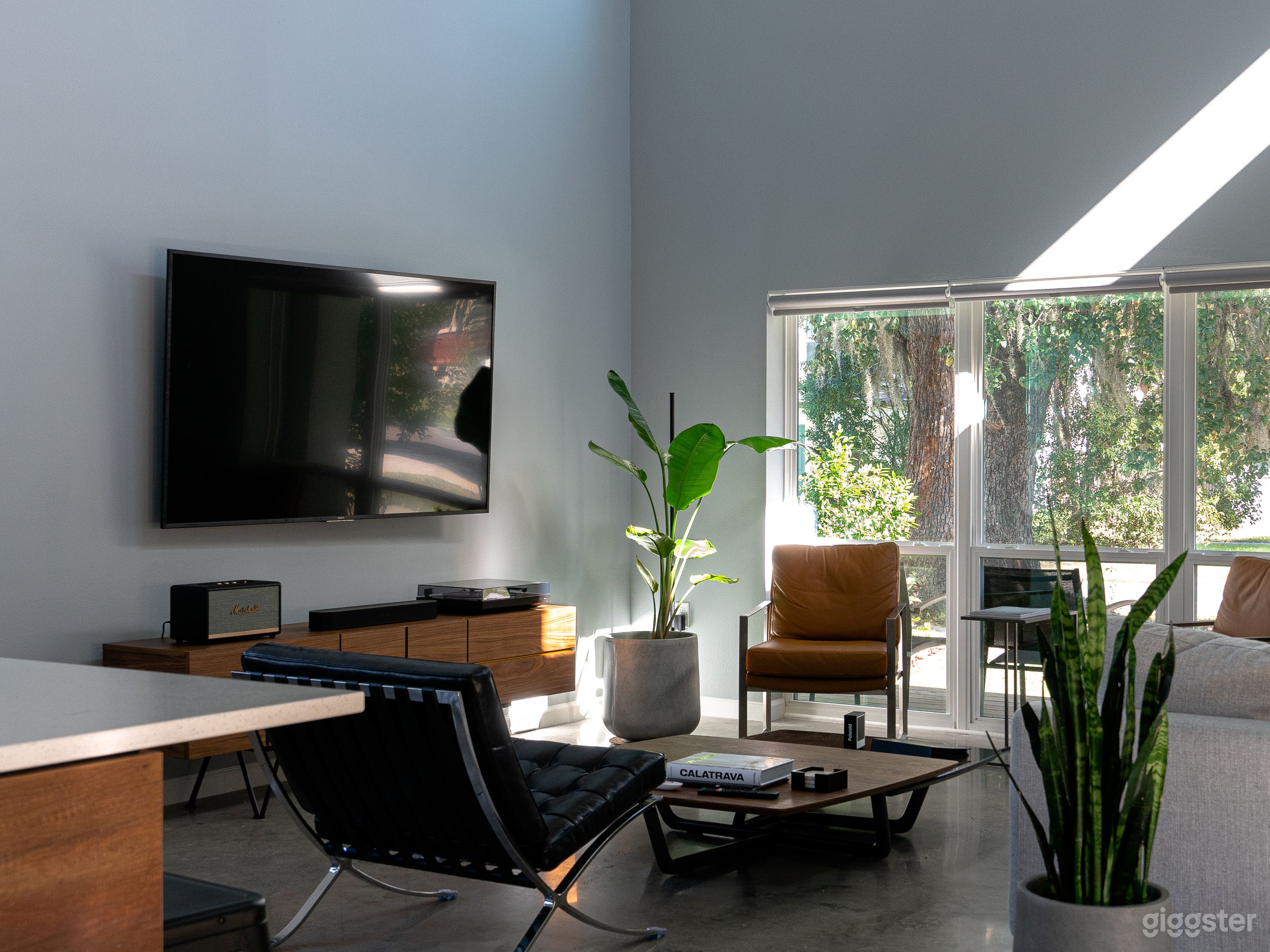 Mid Century Modern Loft Photo Studio Oasis Photo 4