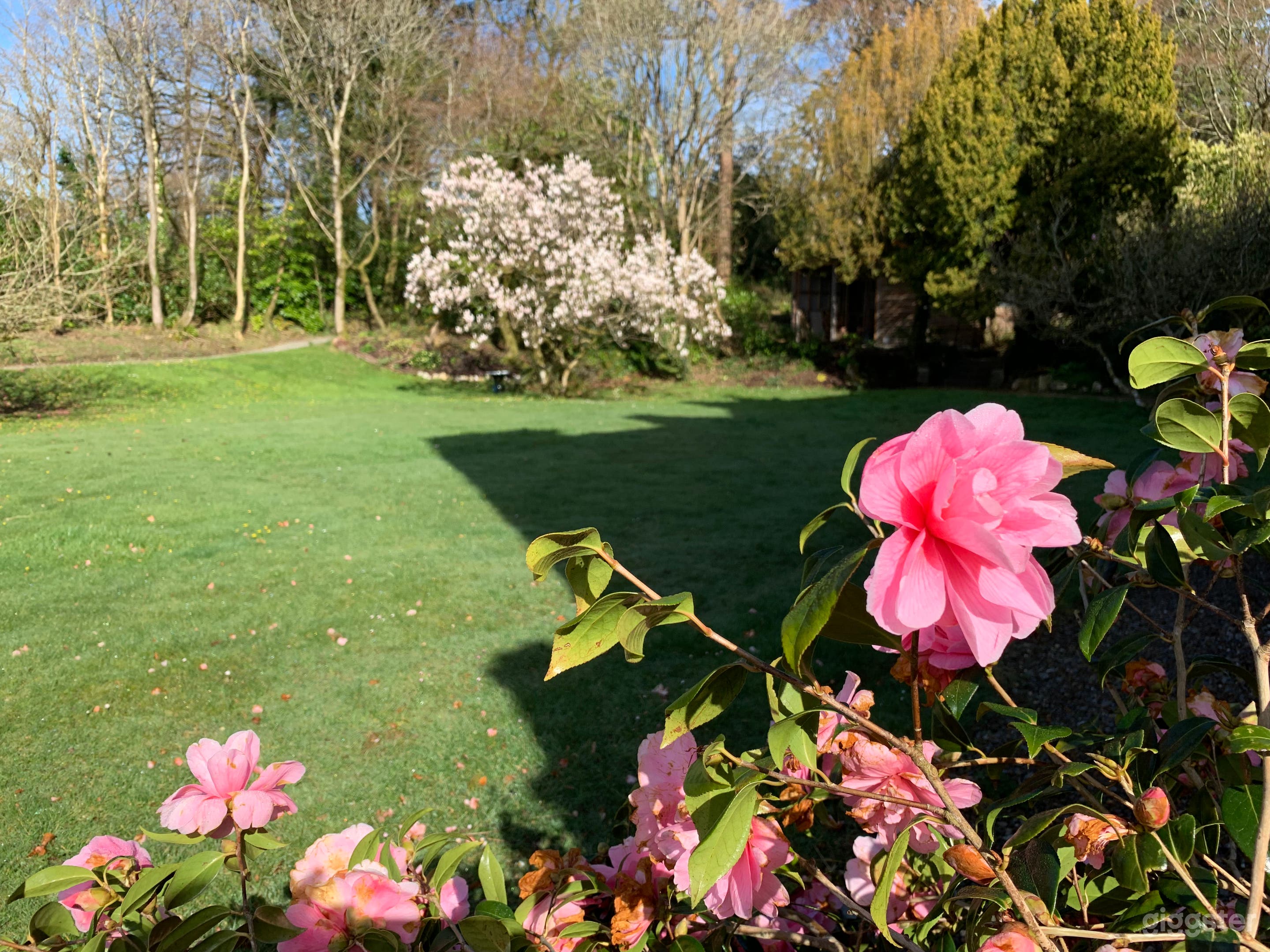 Gothic Victorian Mansion Photo 4