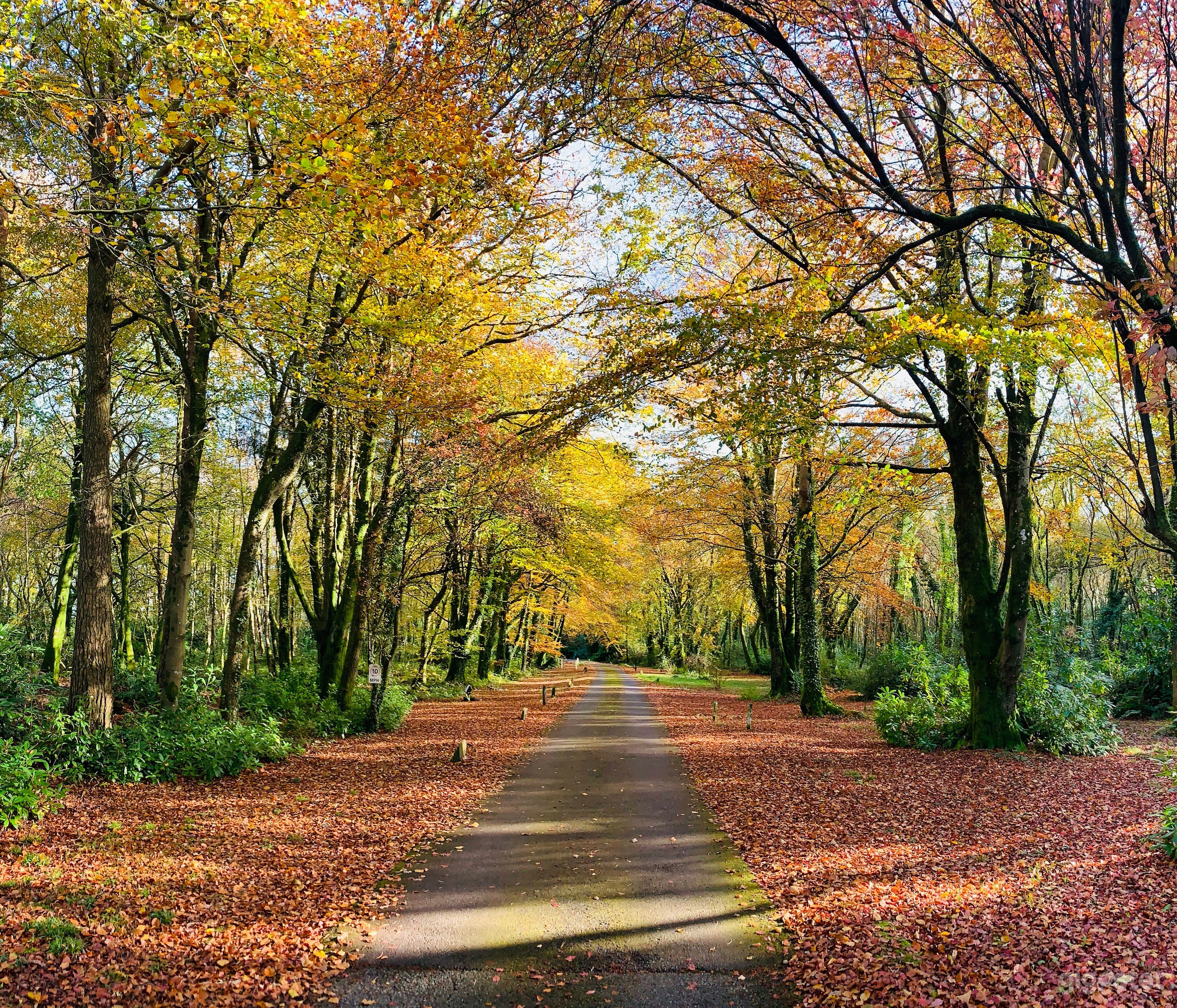 Gothic Victorian Mansion Photo 3