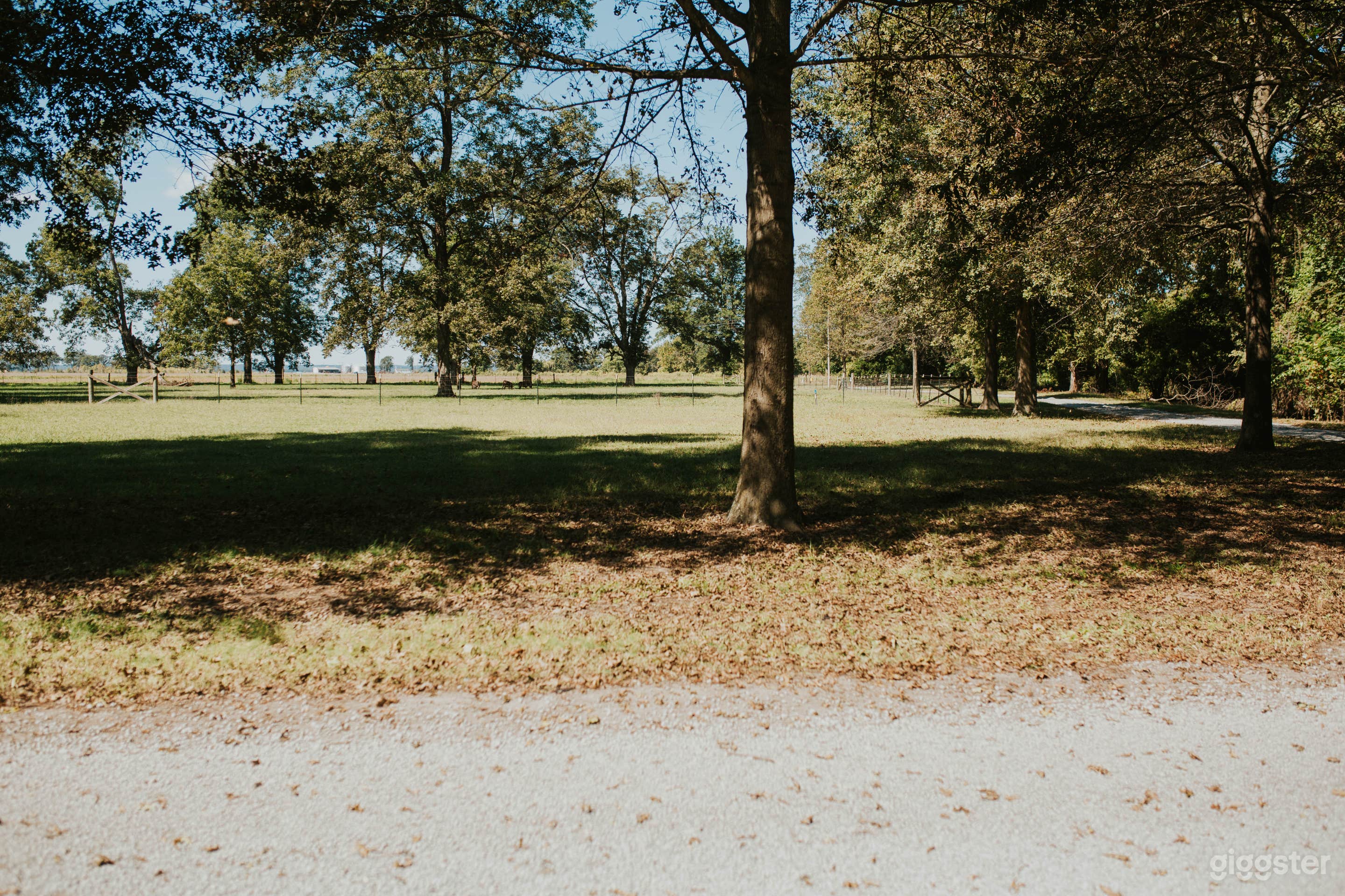 Getaway on Banks of St Francis River Photo 2