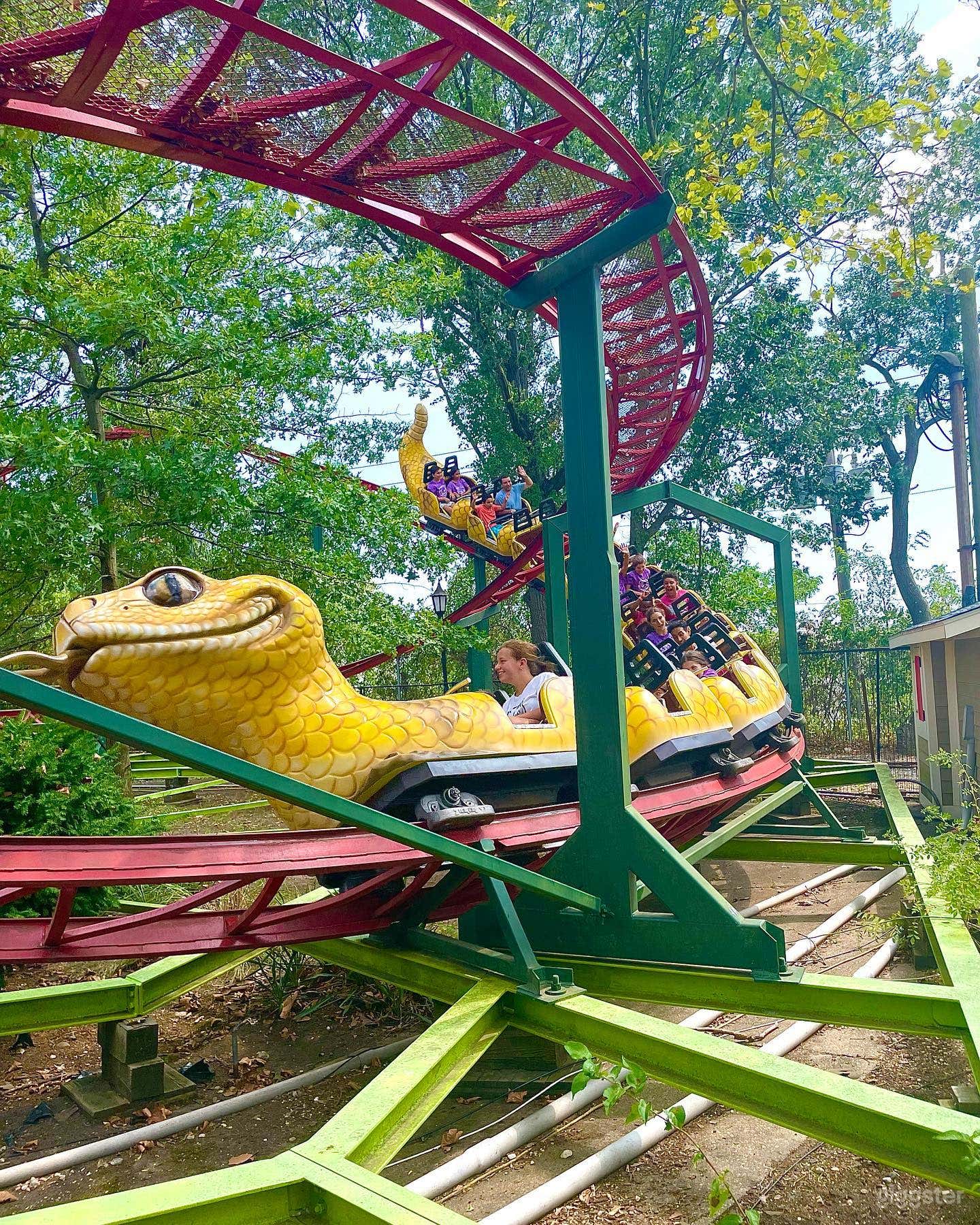 Rattle Snake Coaster