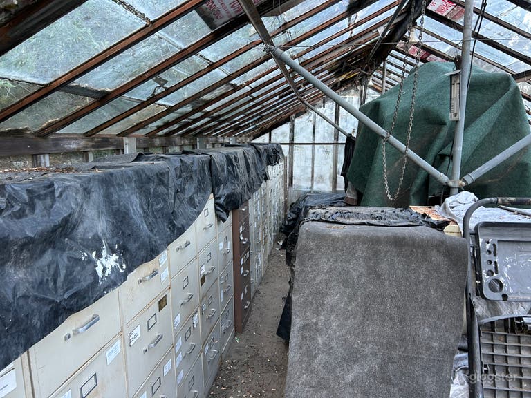  Epic Hillside Backyard 