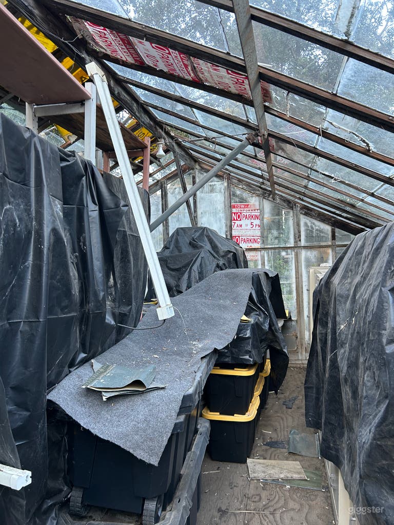  Epic Hillside Backyard 