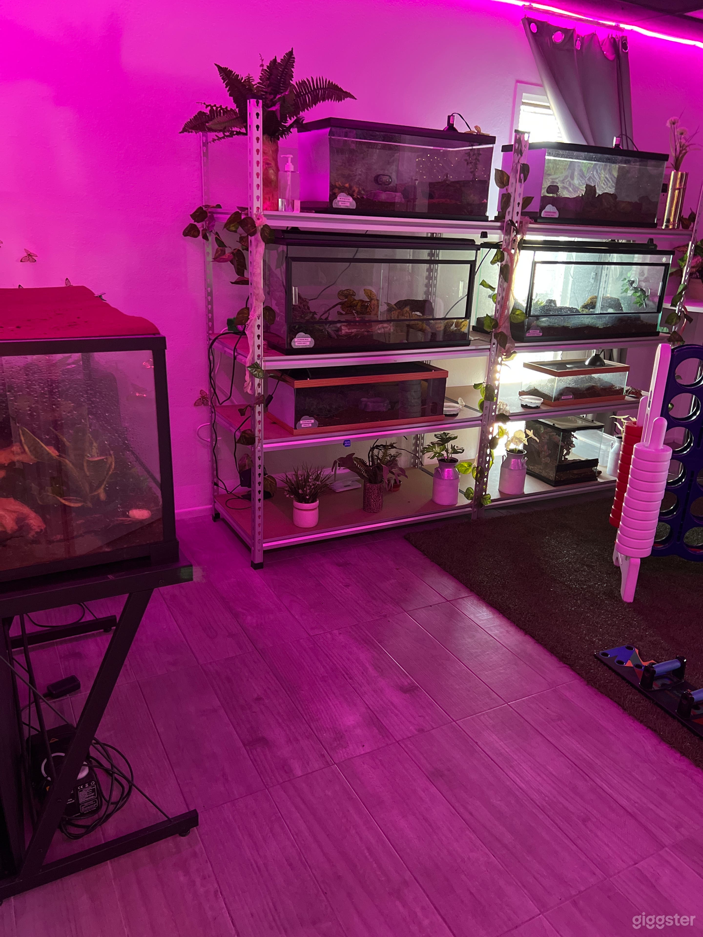 Terrariums filled with the kindest “snakes”