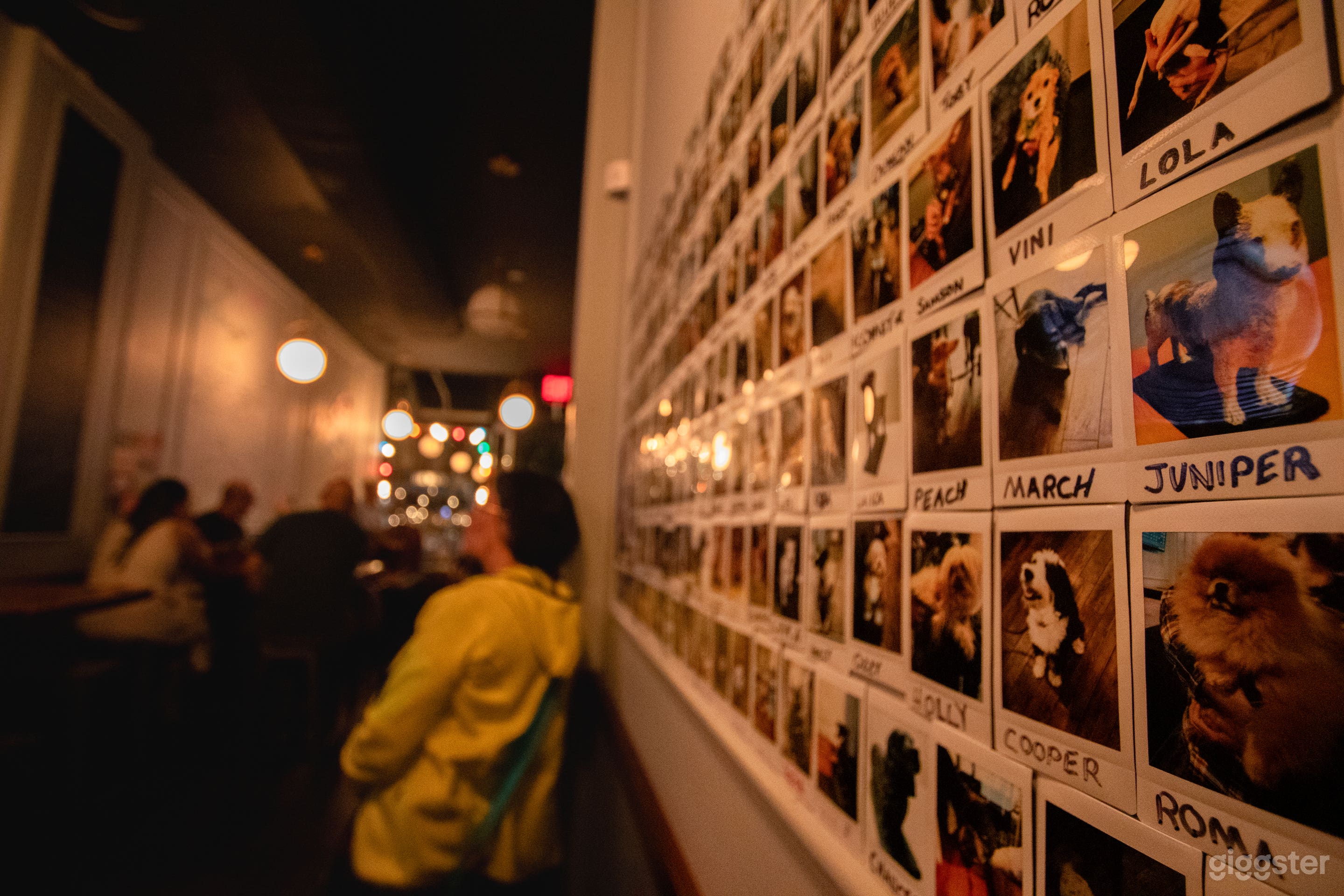Amazing Bar with New York City's Local Breweries Photo 2