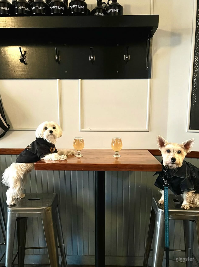  Amazing Bar with New York City's Local Breweries 