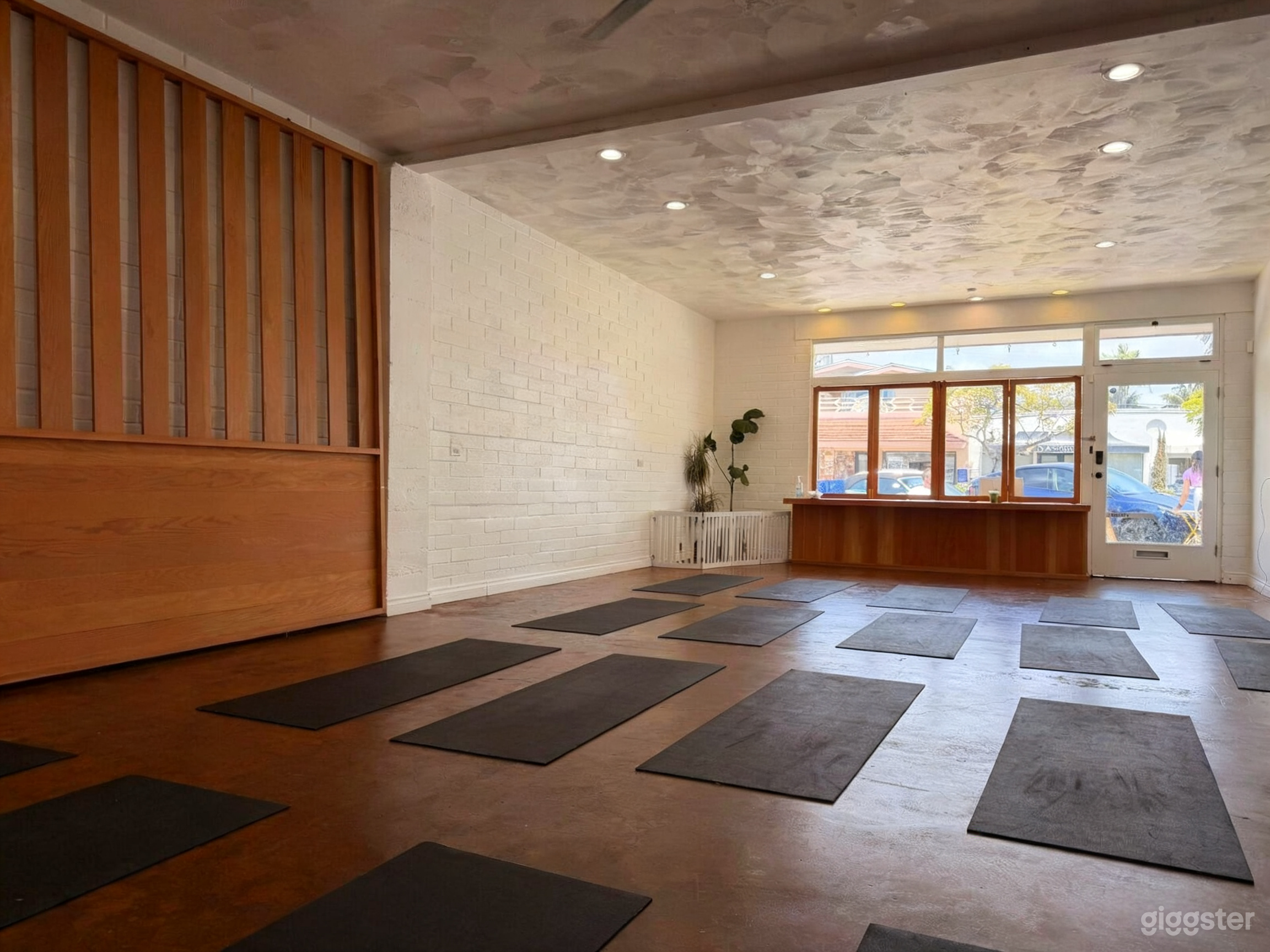Designer La Jolla Studio: Open, Yoga, Wellness & Shoots Photo 2