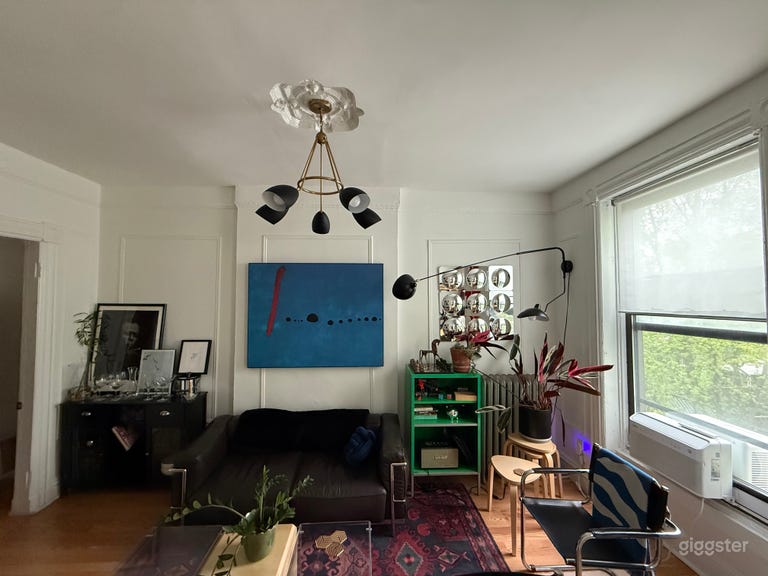  Minimalist brownstone-historic district Bedstuy 