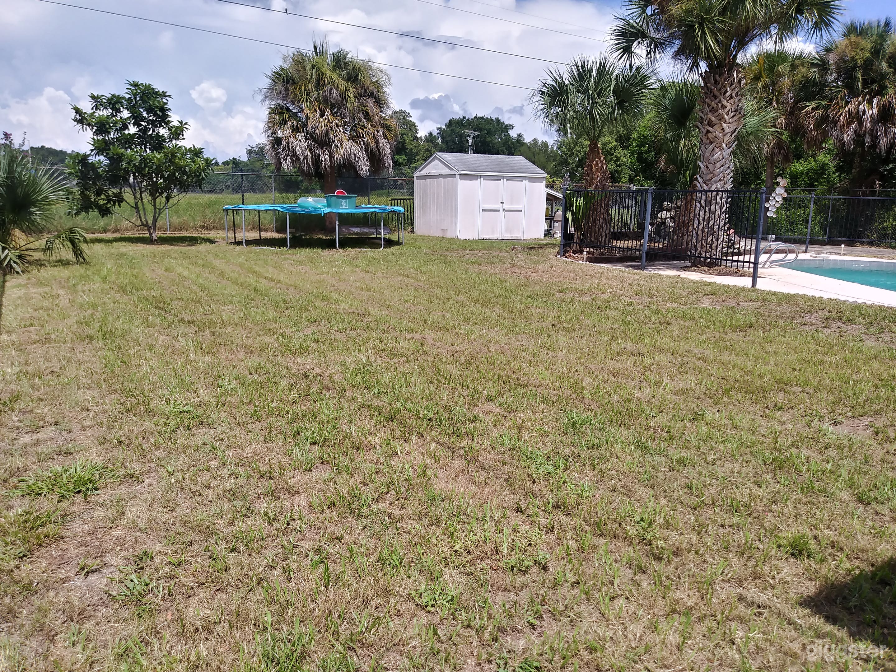 Roomy backyard with a sparkling pool Photo 3