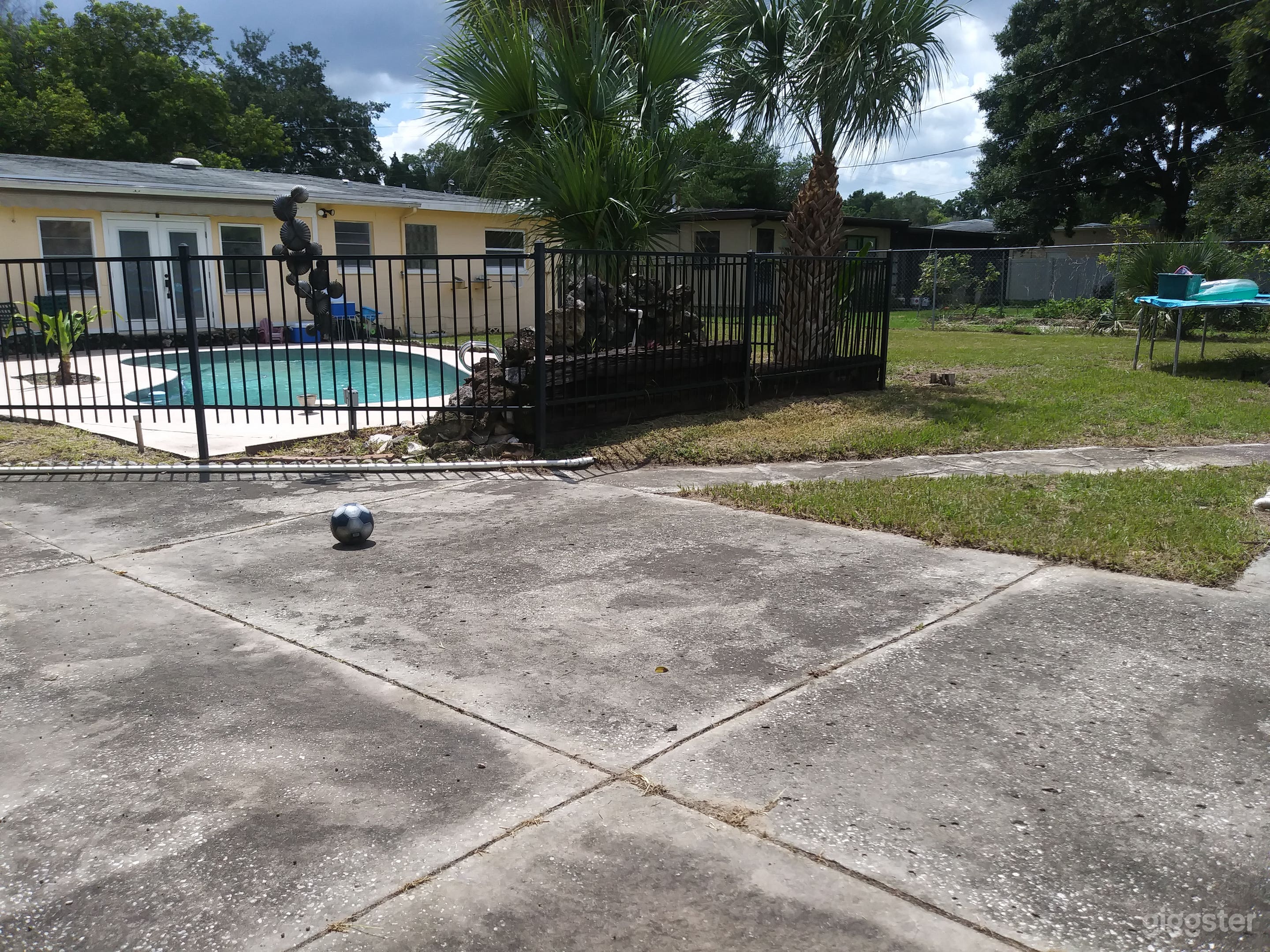 Roomy backyard with a sparkling pool Photo 4