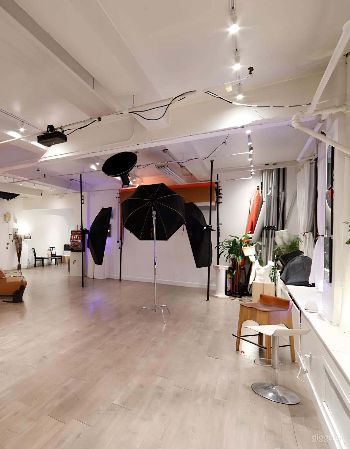 Photo Studio 2 Photo 2