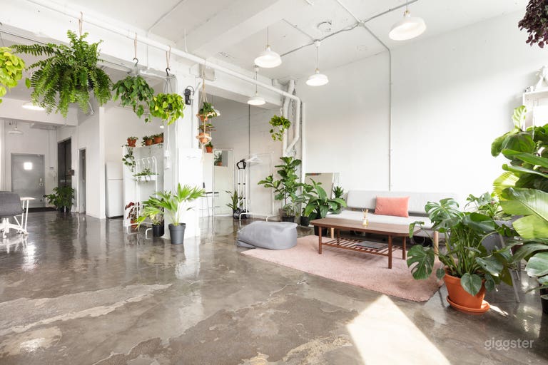  Studio with Cyclorama, Workspace and Plants 🌿 