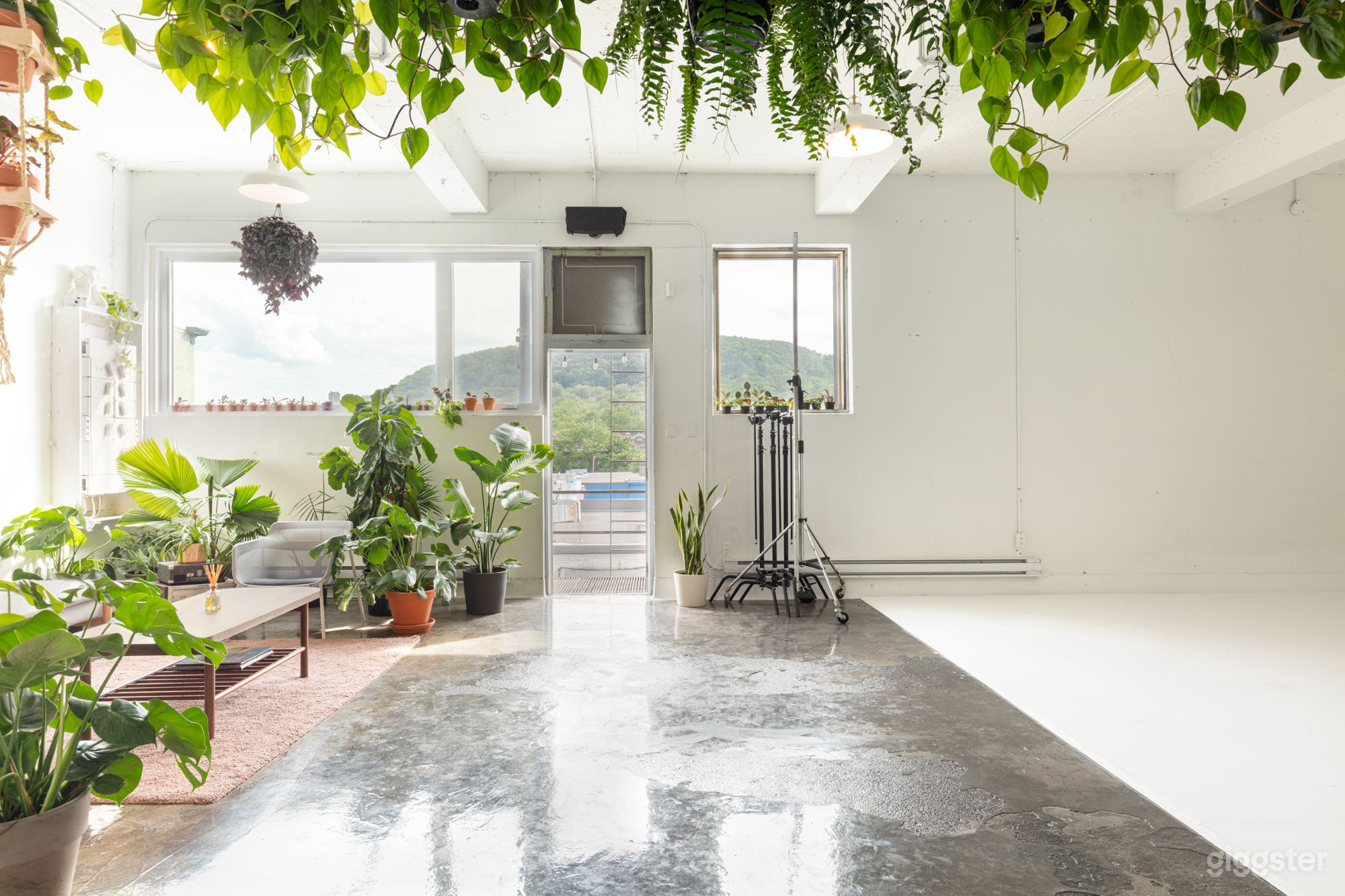 Studio with Cyclorama, Workspace and Plants 🌿 Photo 4