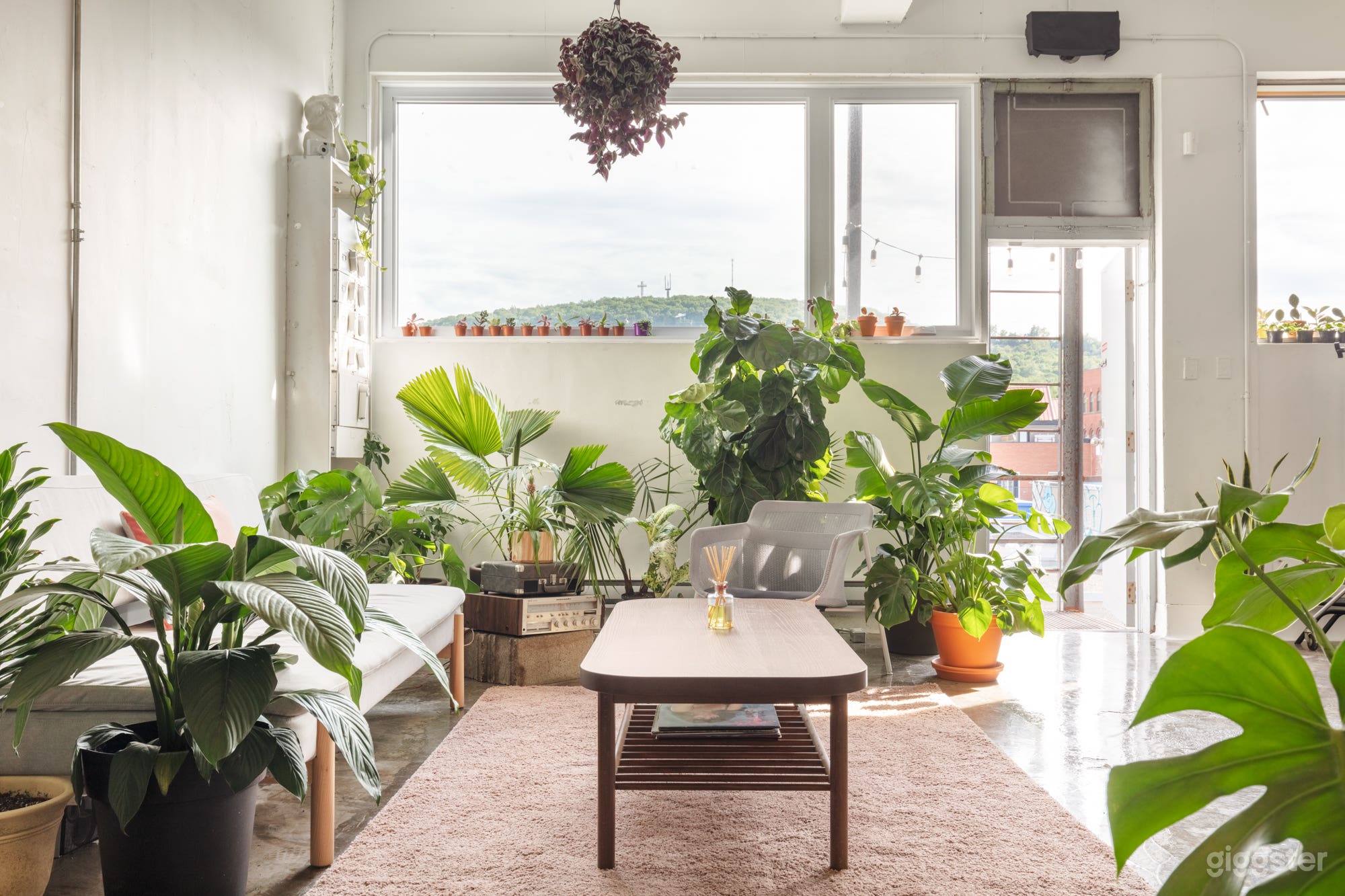 Studio with Cyclorama, Workspace and Plants 🌿 Photo 1