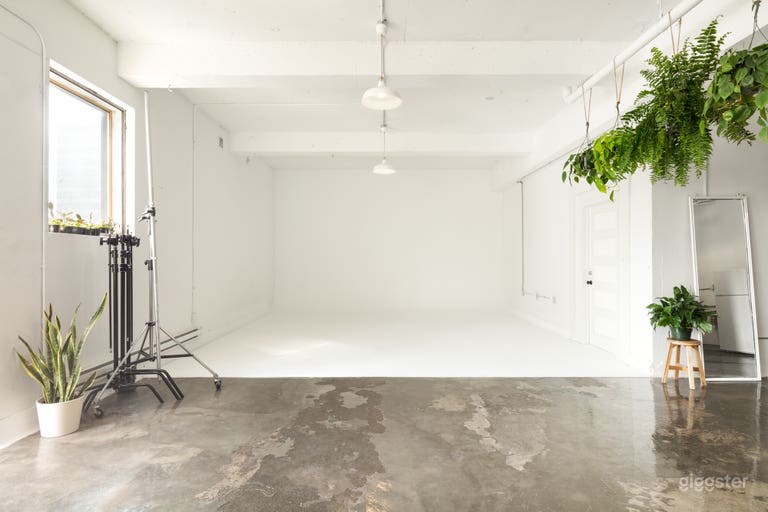  Studio with Cyclorama, Workspace and Plants 🌿 