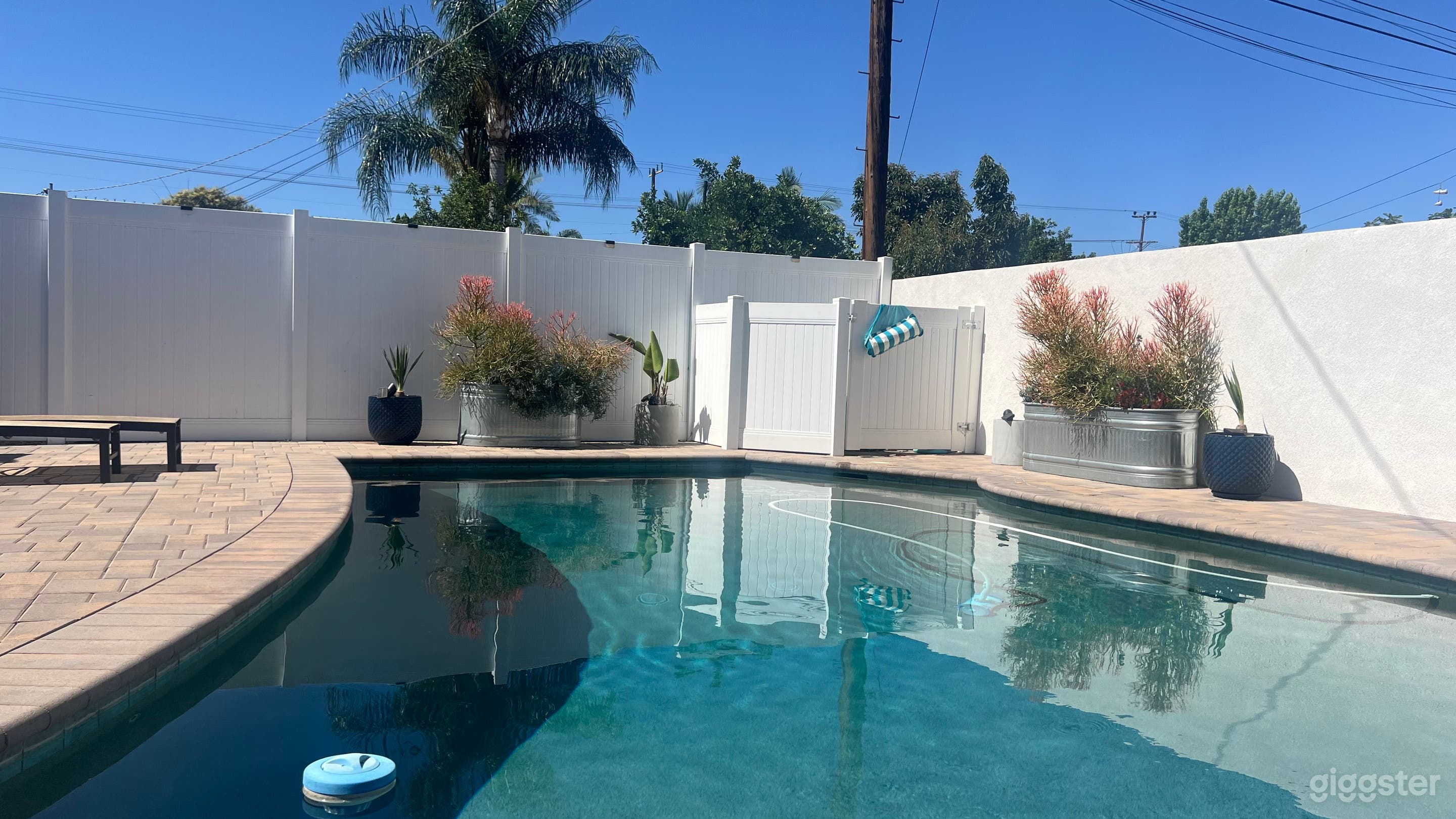 Reseda Escape Pool with Guest House Photo 4