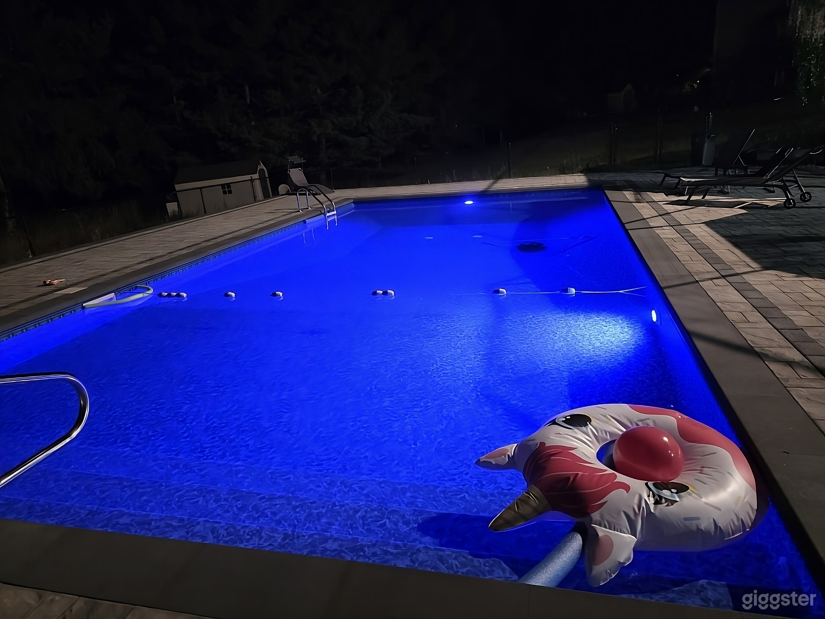 Luxury Backyard Oasis with Pool Photo 2