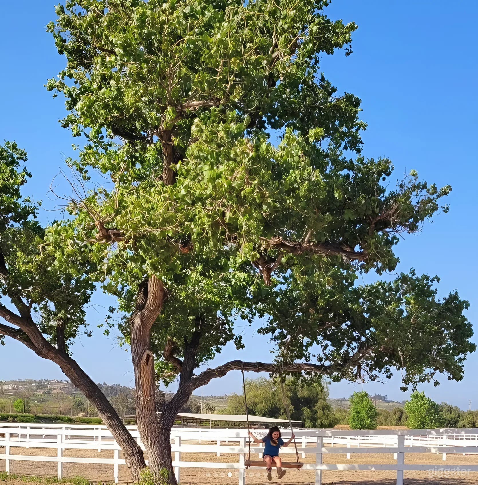 Executive Sprinter Photo 4