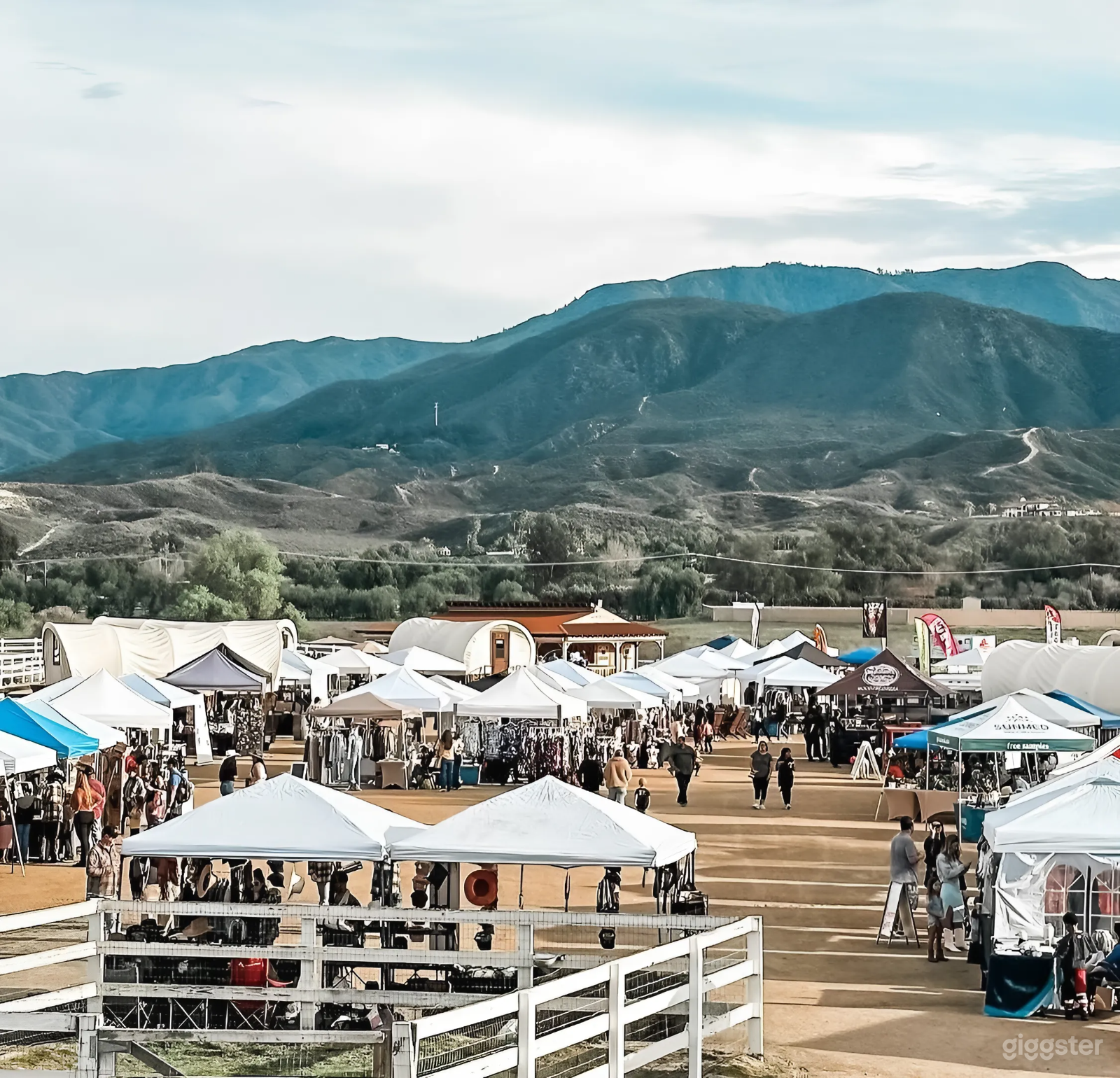 Executive Sprinter Photo 3