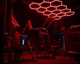  Gym with fully adjustable RGB LED Lighting System 