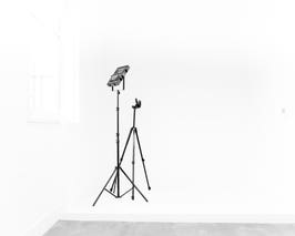  THE Ultimate Content & Training Studio 